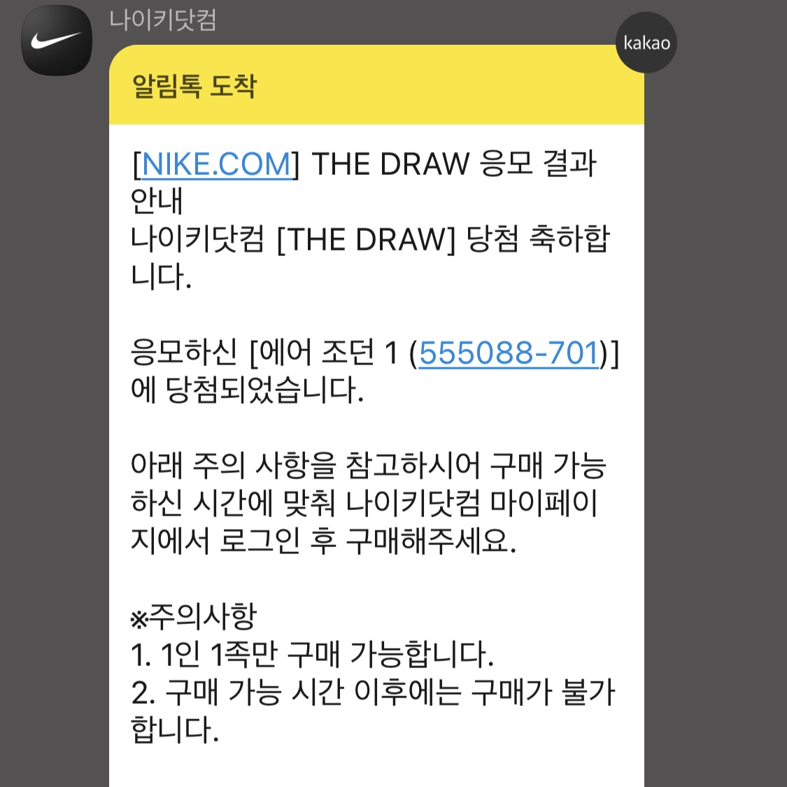 Jordan 1 Retro High OG Pollen 착용 스타일 - 1