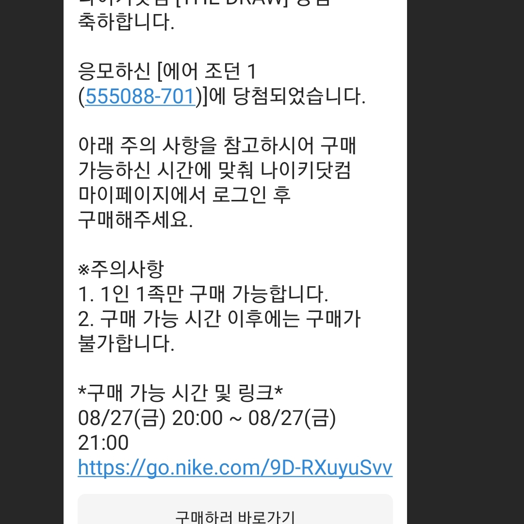 Jordan 1 Retro High OG Pollen 착용 스타일