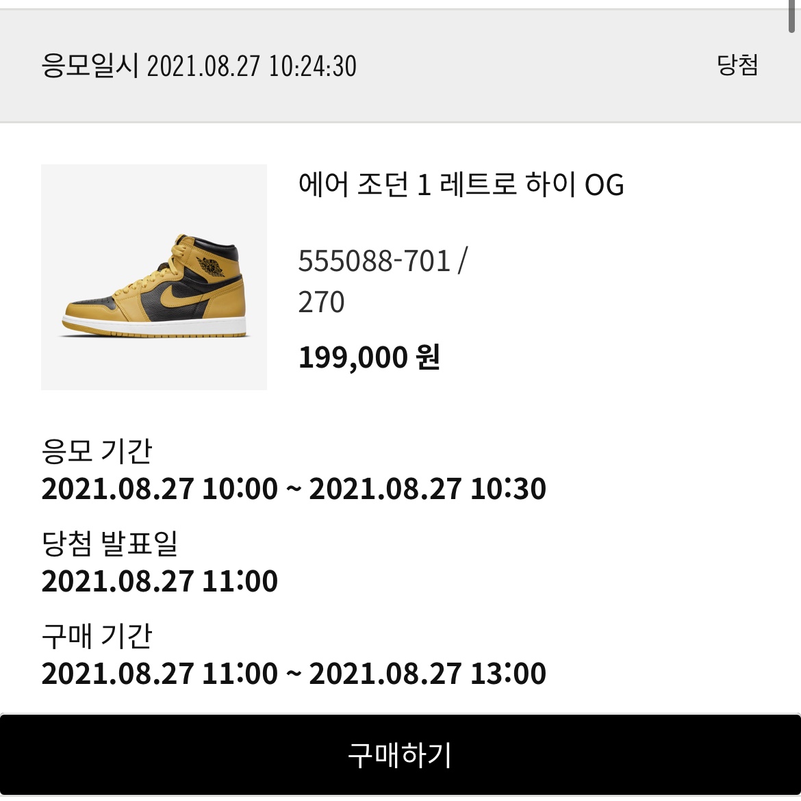 Jordan 1 Retro High OG Pollen 착용 스타일