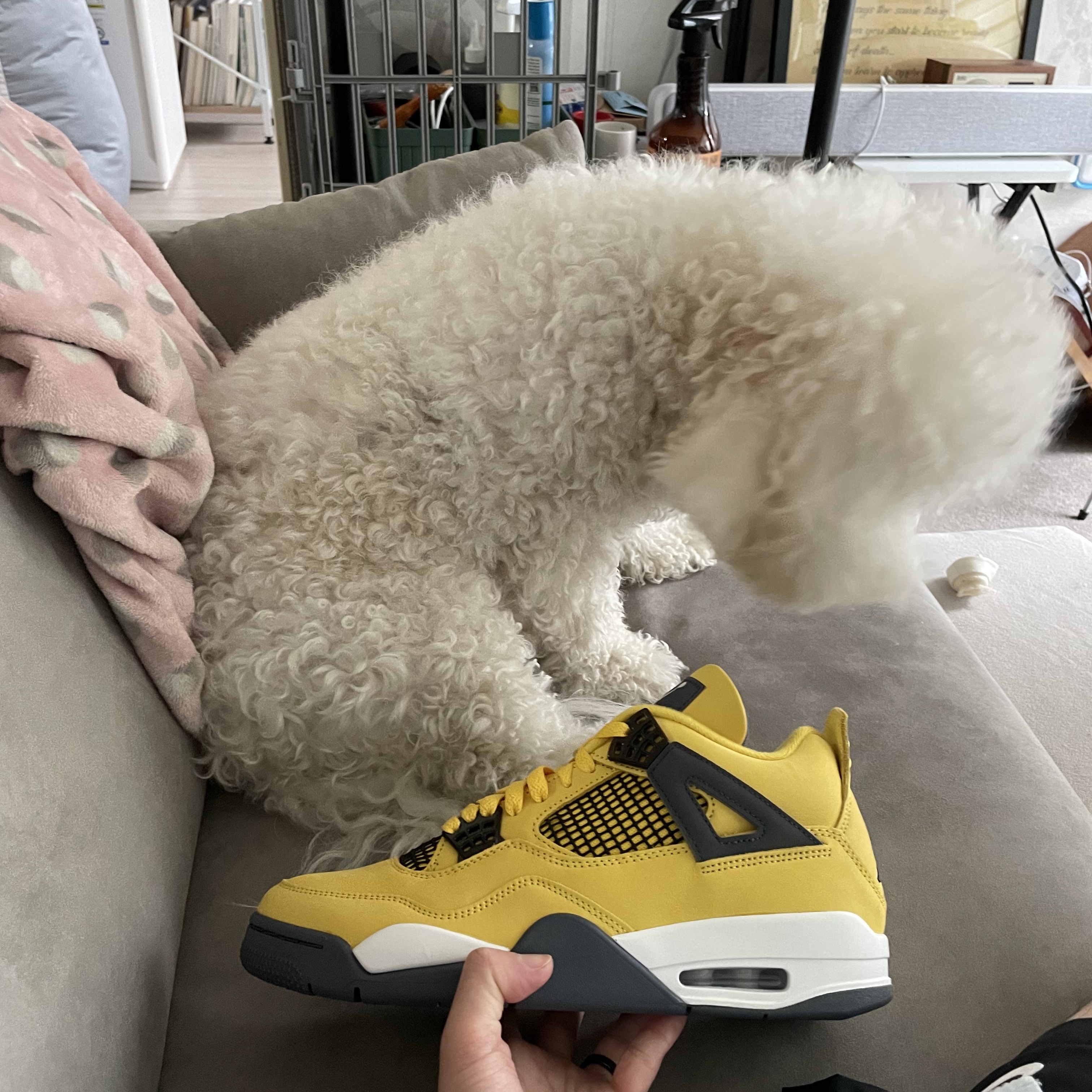 Jordan 4 Retro Tour Yellow 착용 스타일 - 2