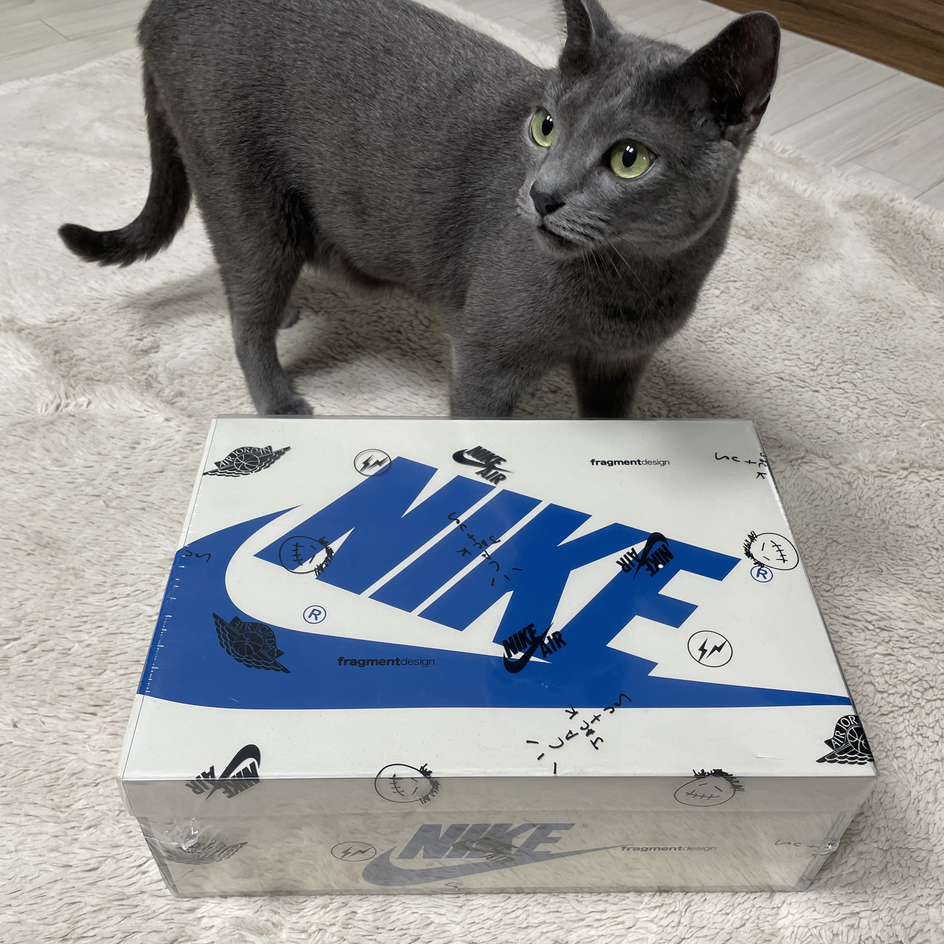 Jordan 1 x Travis Scott x Fragment Retro Low OG SP Military Blue 착용 스타일 - 1