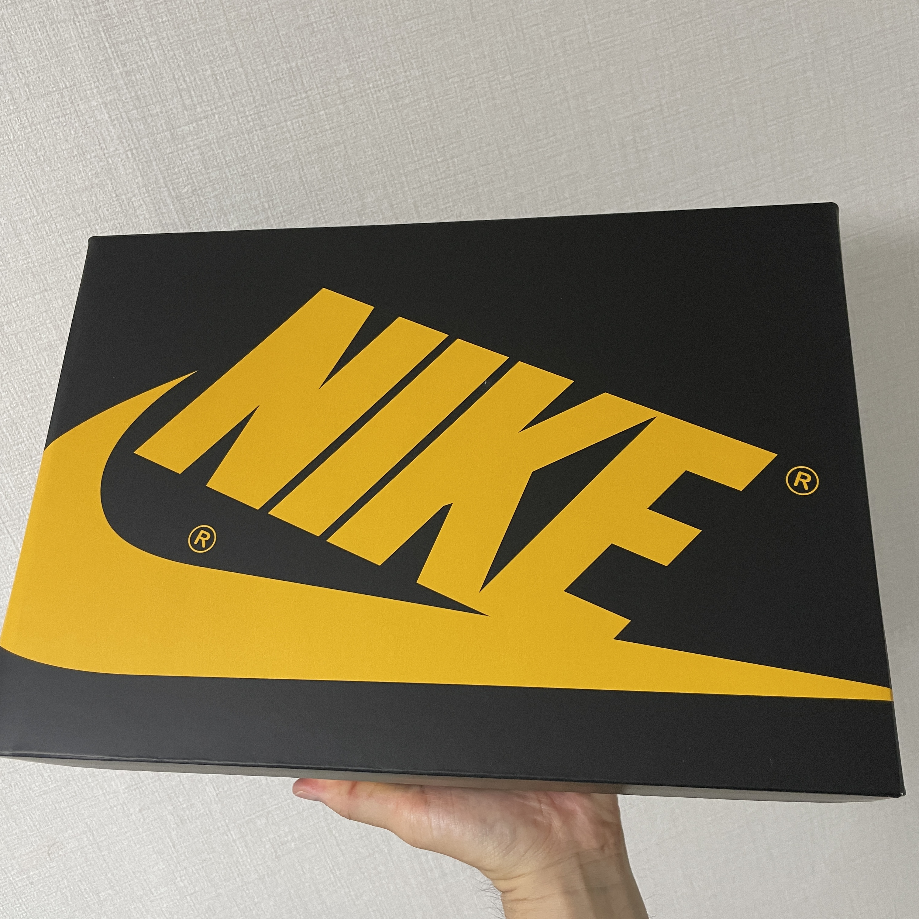 Jordan 1 Retro High OG Pollen 착용 스타일 - 1