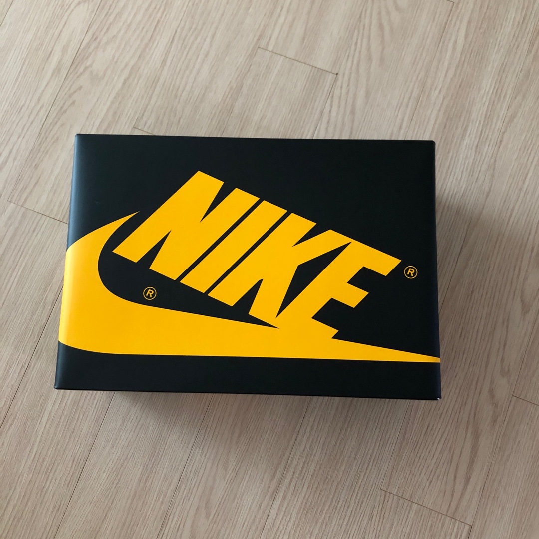 Jordan 1 Retro High OG Pollen 착용 스타일 - 4