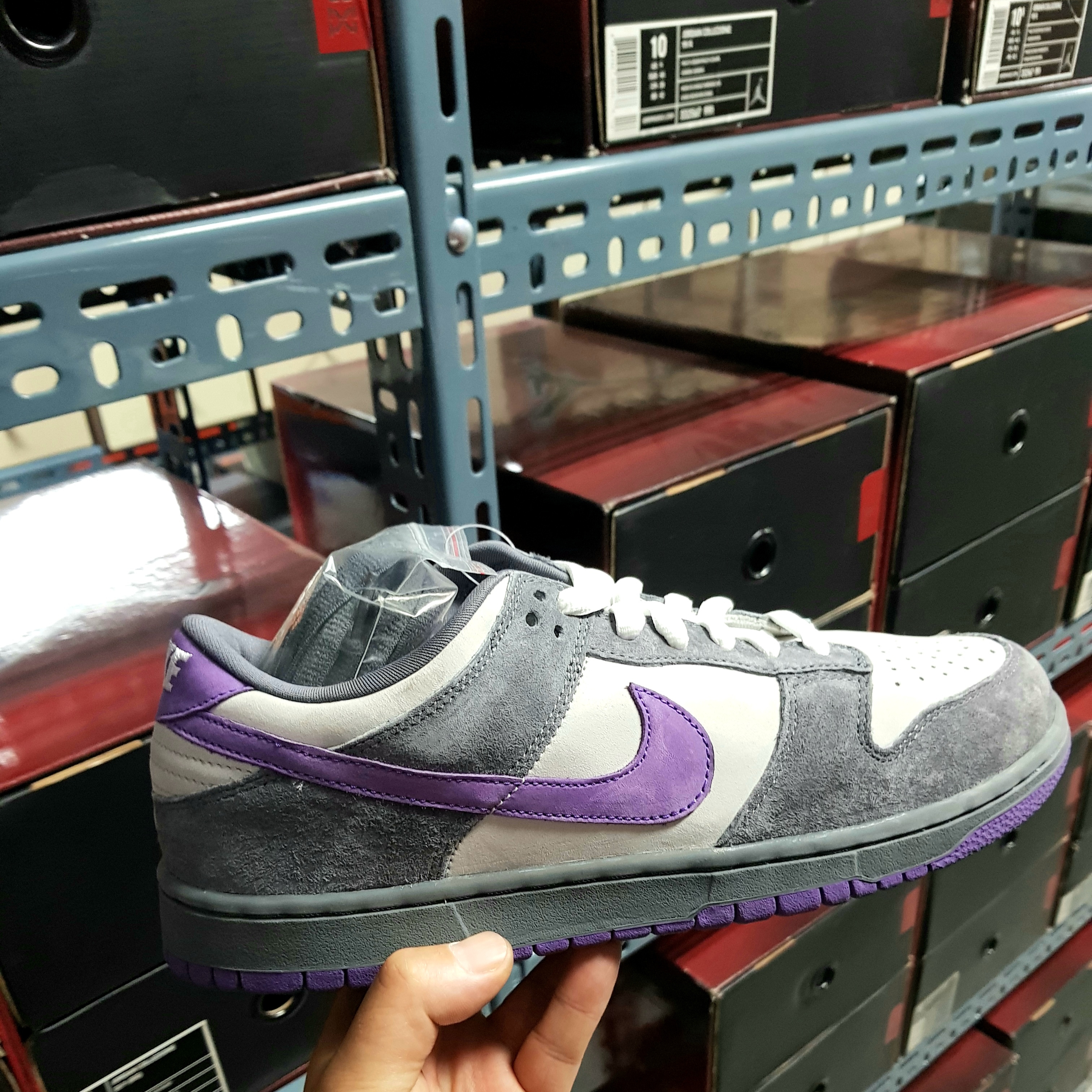 Nike Dunk SB Low Purple Pigeon 착용 스타일