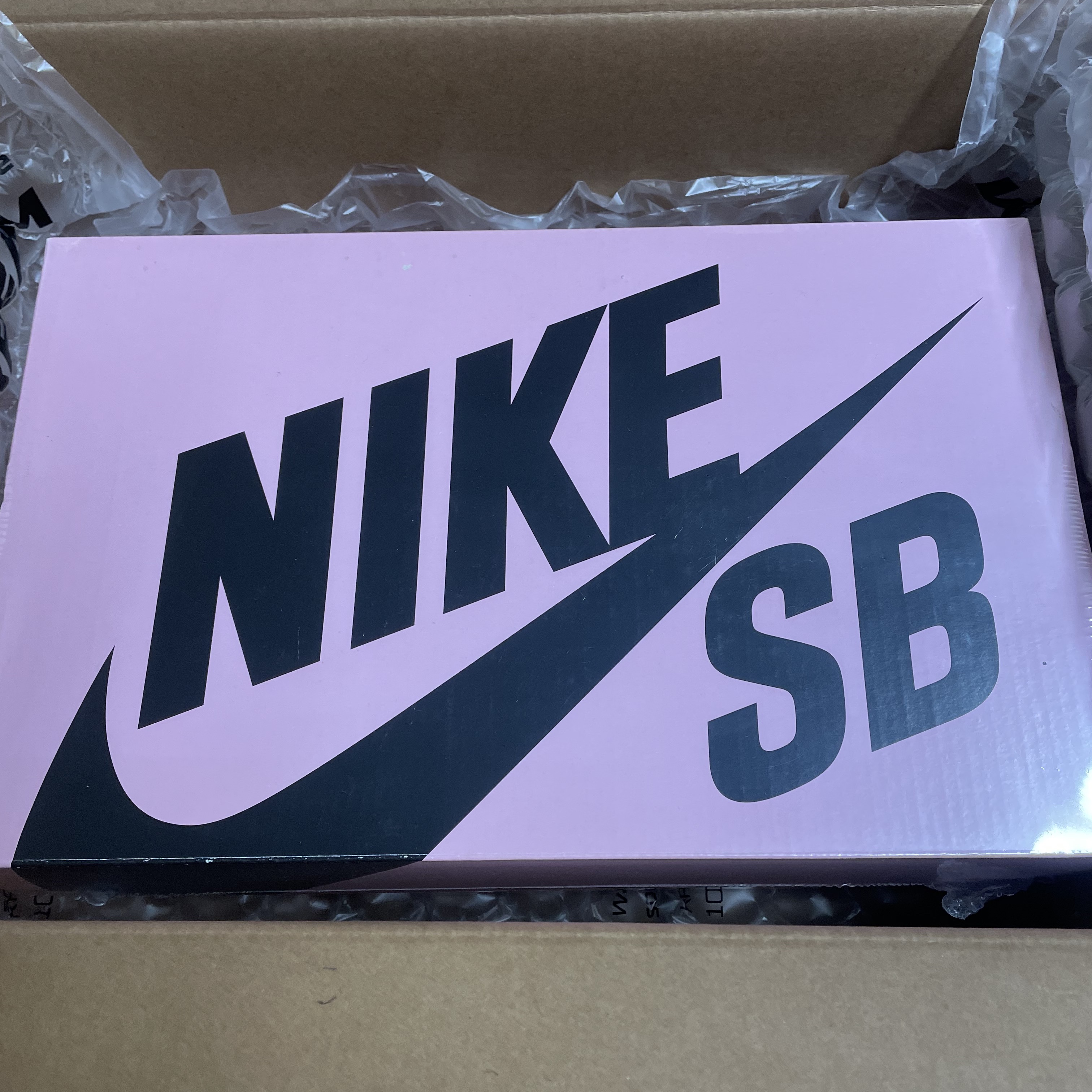 Nike x Staple SB Dunk Low Panda Pigeon 착용 스타일 - 1