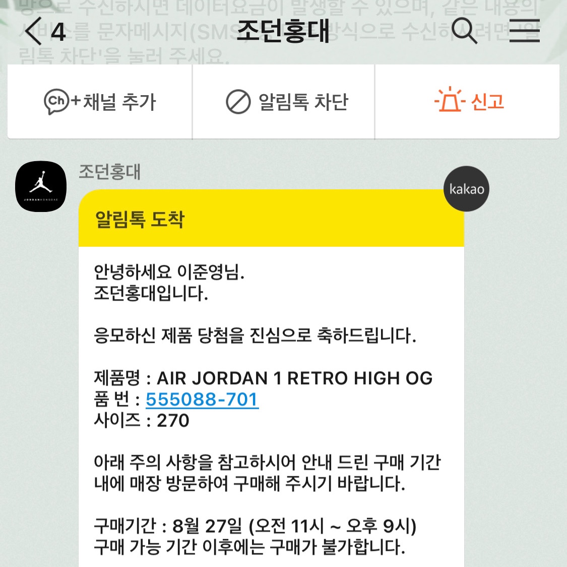 Jordan 1 Retro High OG Pollen, Jordan 4 Retro Tour Yellow 착용 스타일 - 1