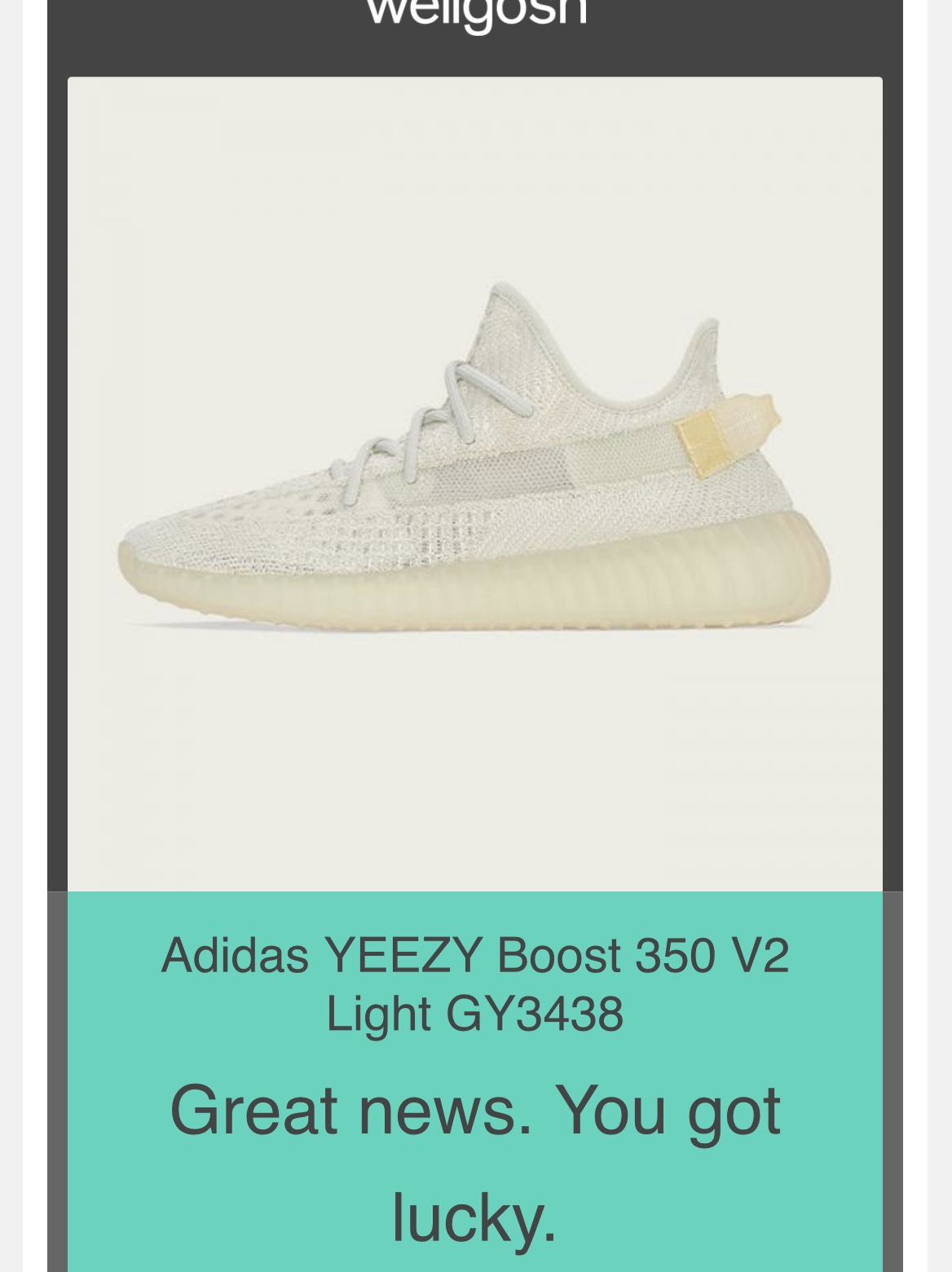Adidas Yeezy Boost 350 V2 Light 착용 스타일