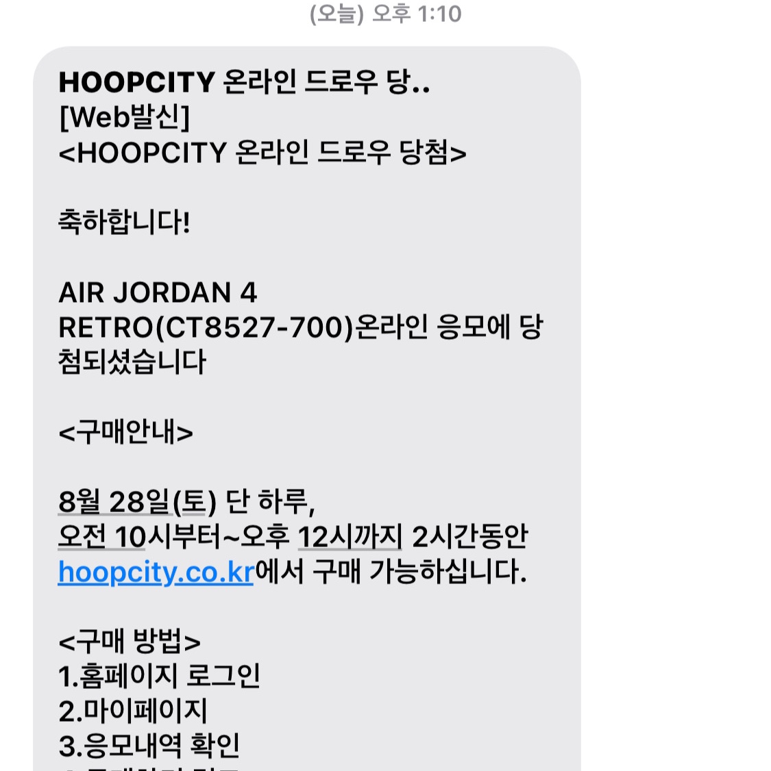 Jordan 1 Retro High OG Pollen, Jordan 4 Retro Tour Yellow 착용 스타일 - 2