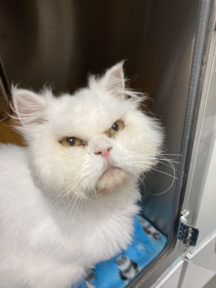 관심 유저 프로필 이미지