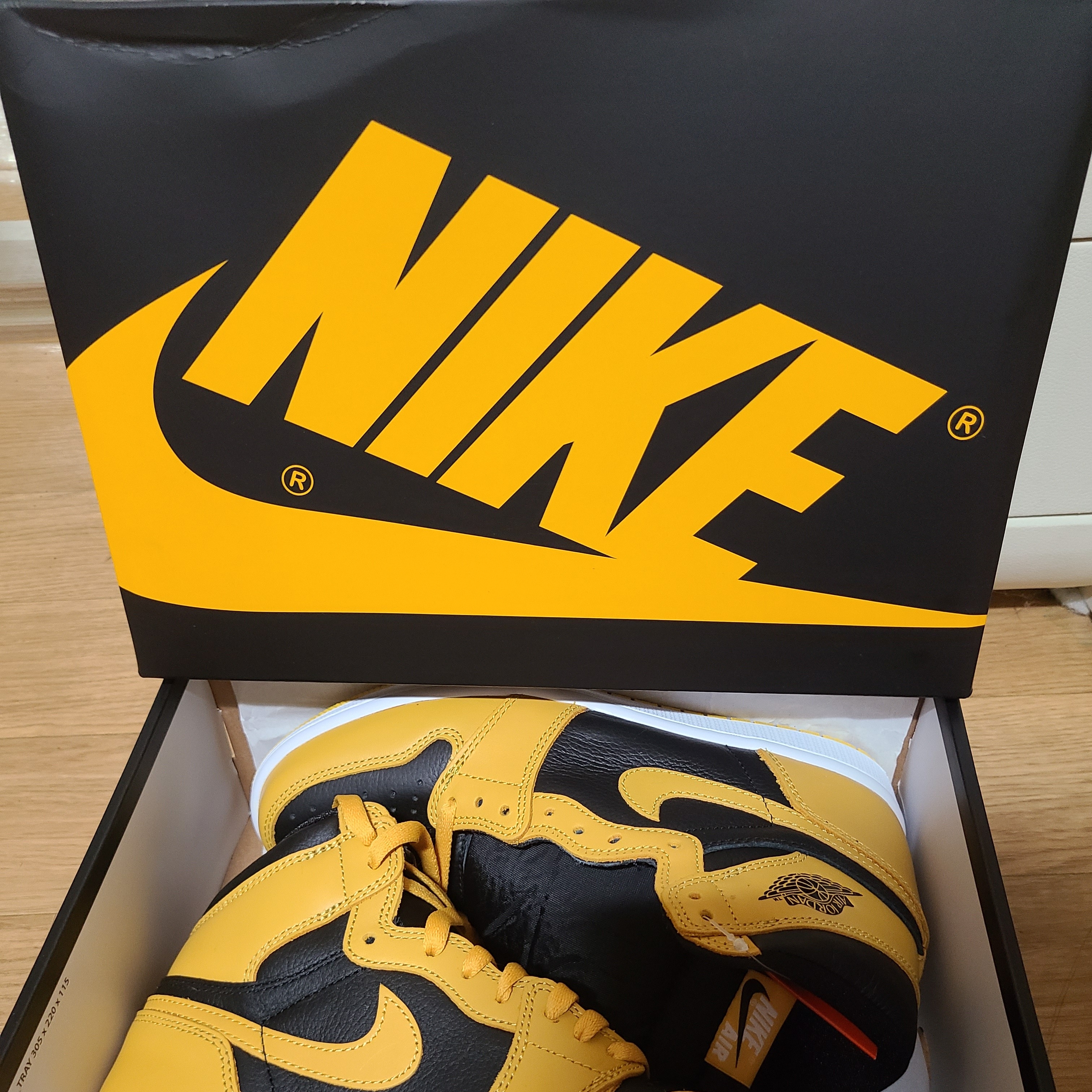 Jordan 1 Retro High OG Pollen 착용 스타일 - 2