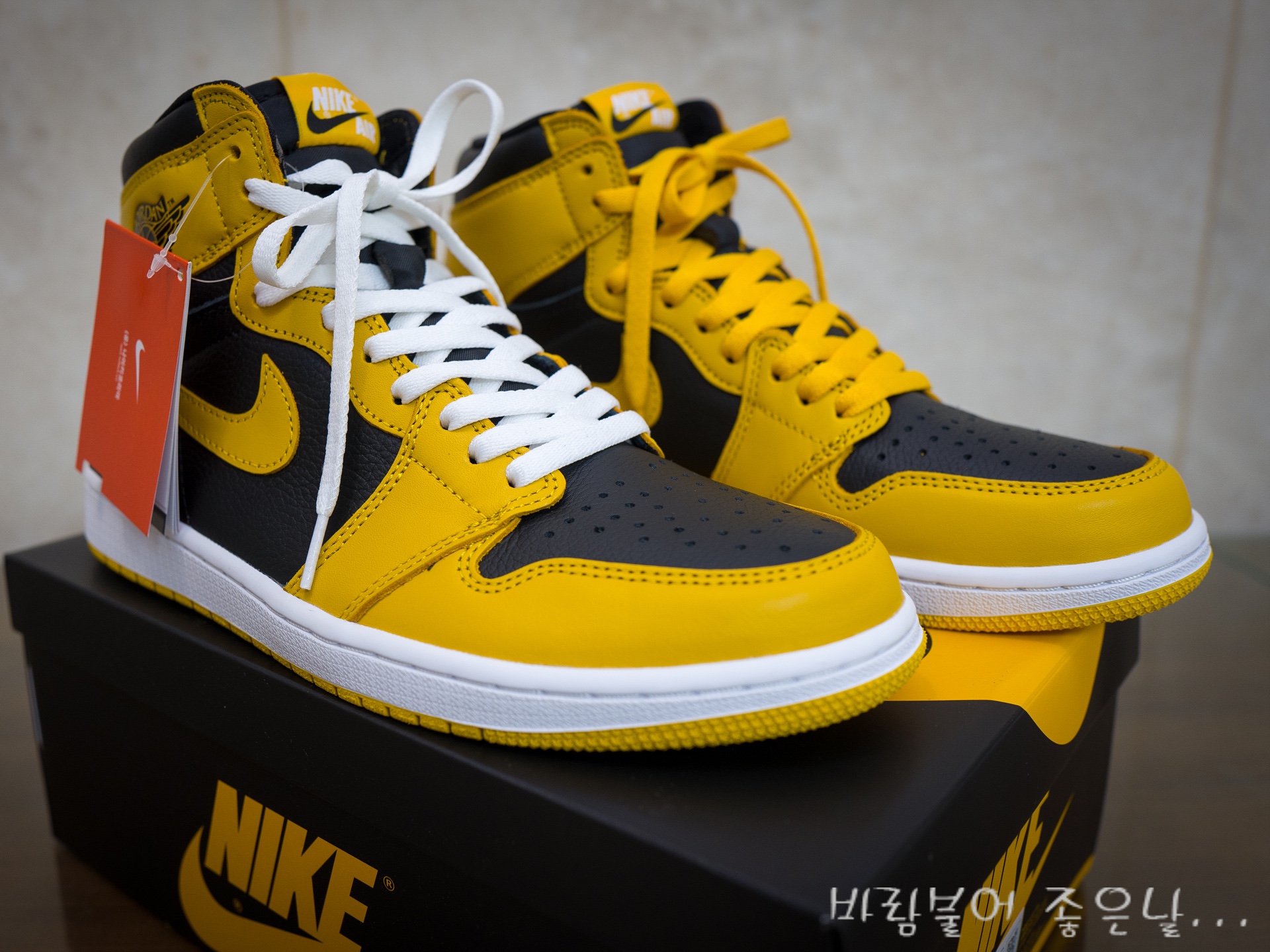 Jordan 1 Retro High OG Pollen 착용 스타일 - 1