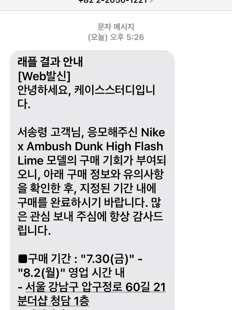 Nike Dunk Low Retro Black, IAB Studio Woven Shorts Gray 착용 스타일 - 4