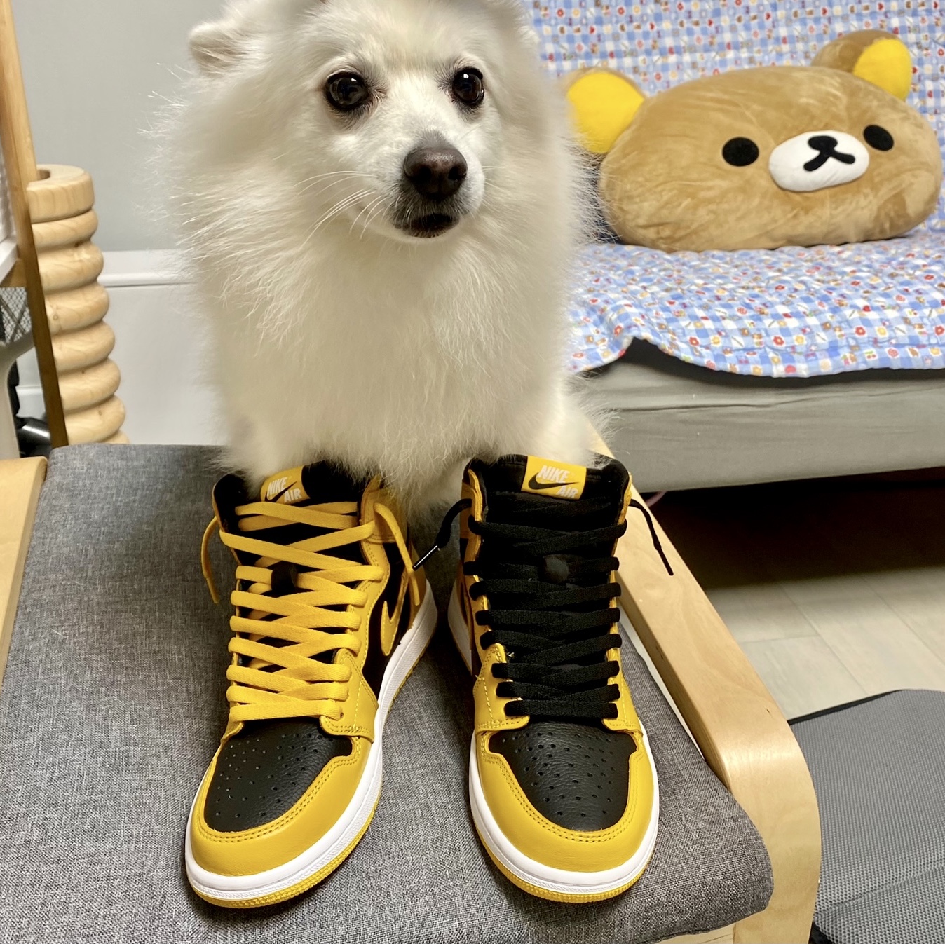 Jordan 1 Retro High OG Pollen 착용 스타일 - 1