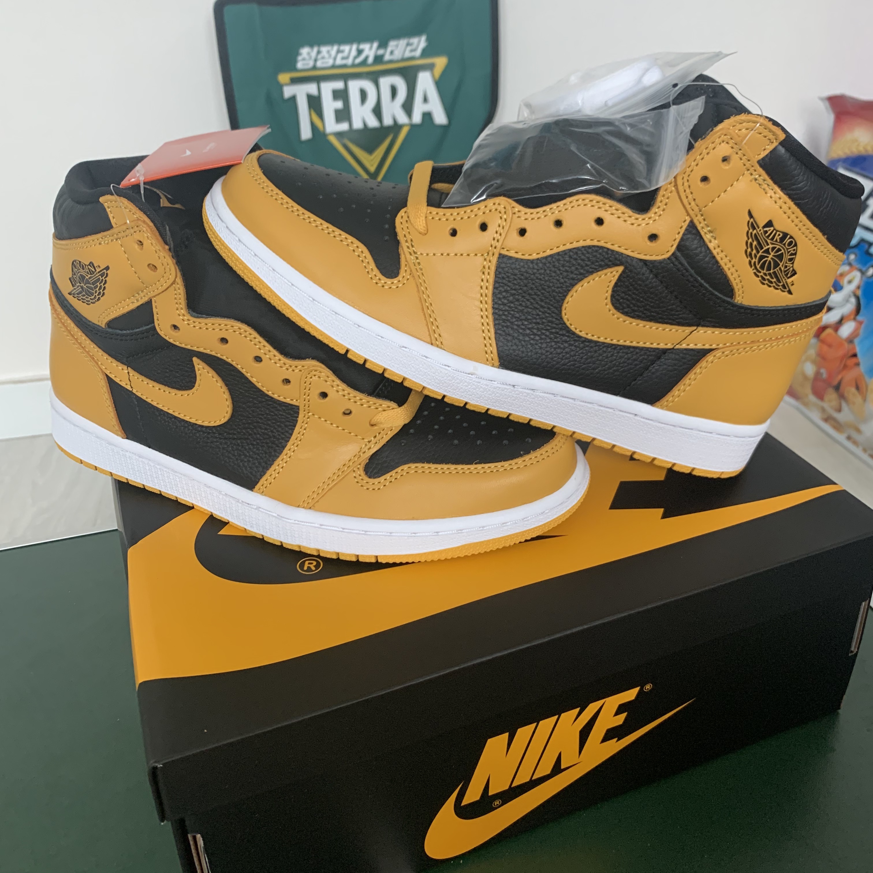 Jordan 1 Retro High OG Pollen 착용 스타일
