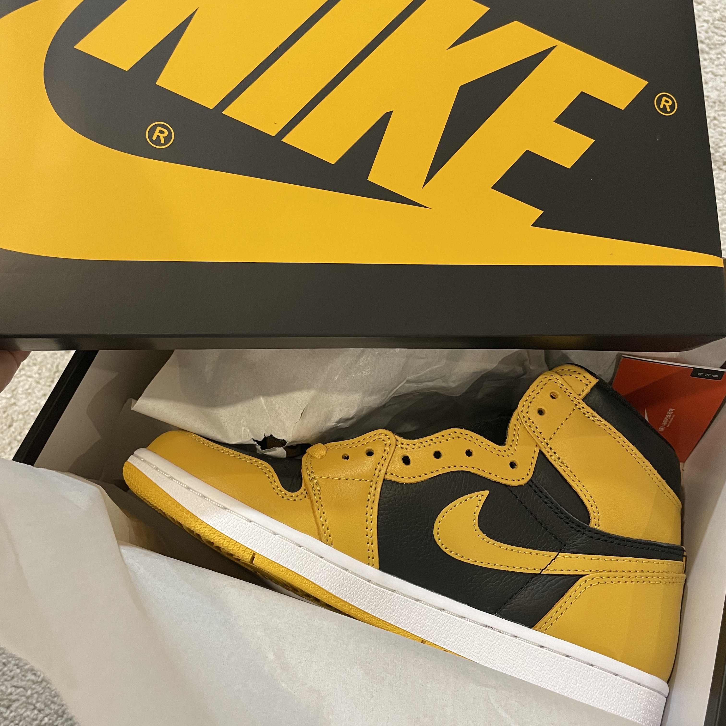 Jordan 1 Retro High OG Pollen 착용 스타일