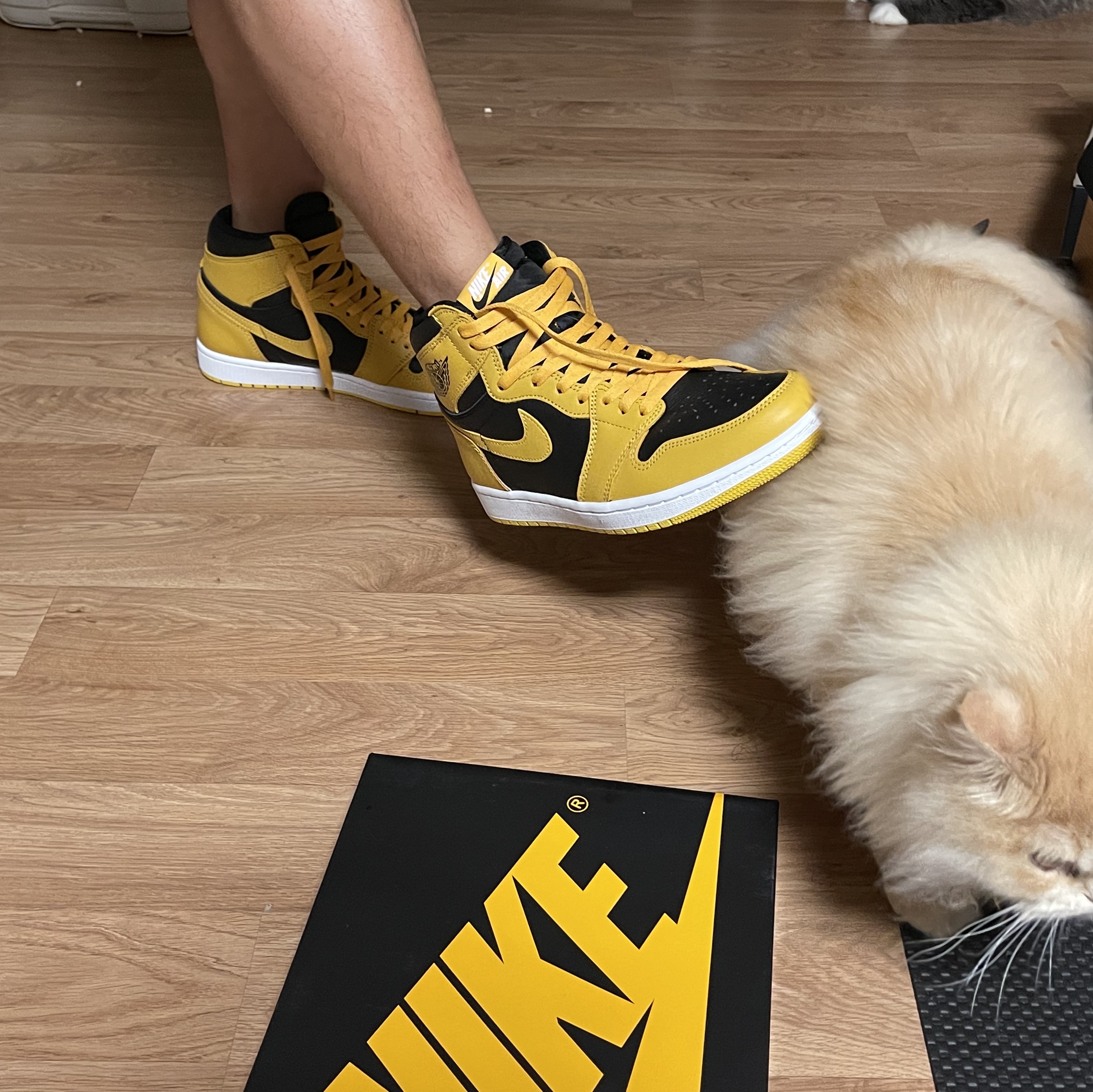 Jordan 1 Retro High OG Pollen, Nike Dunk High SP Varsity Maize 착용 스타일 - 2