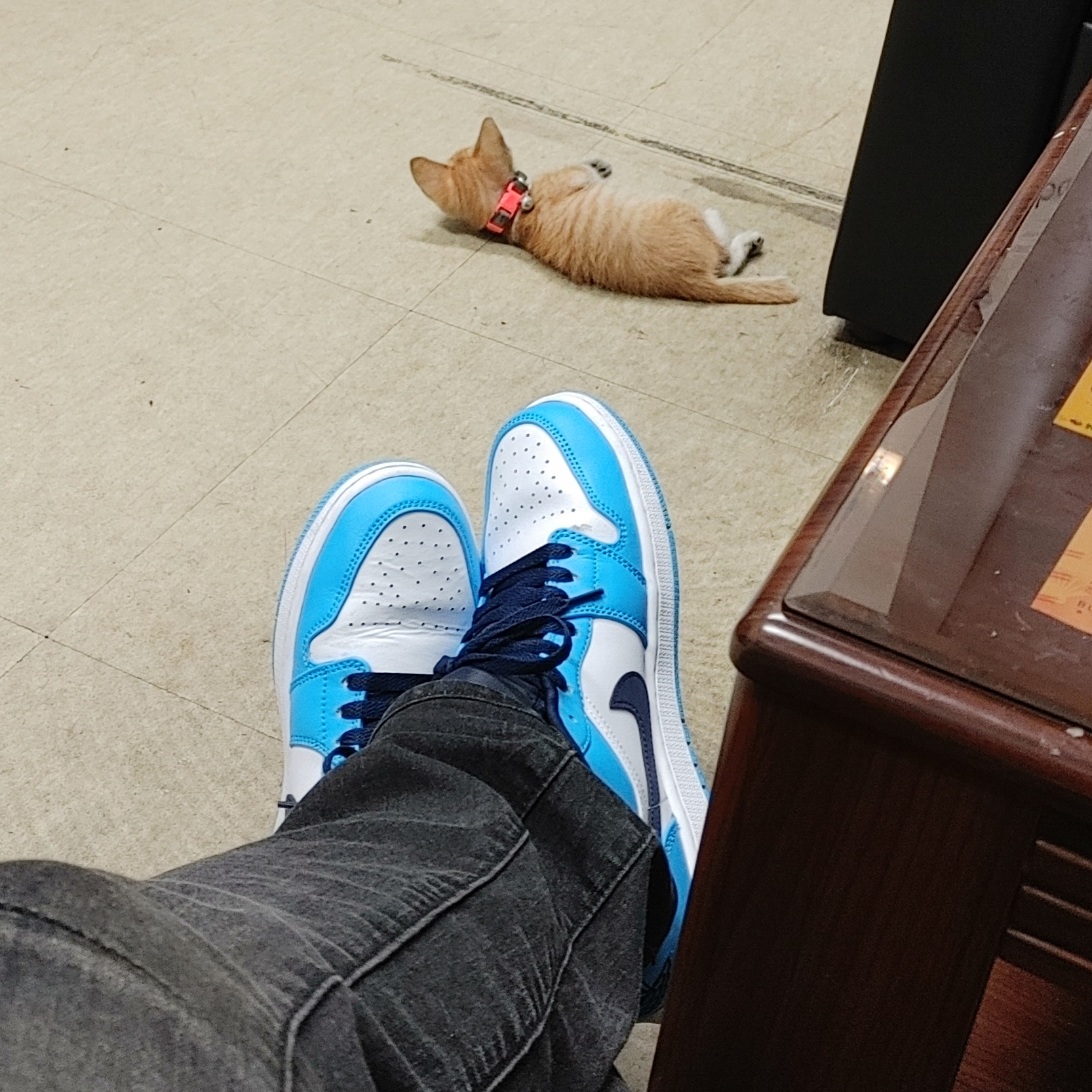 Jordan 1 Low Dark Powder Blue 착용 스타일