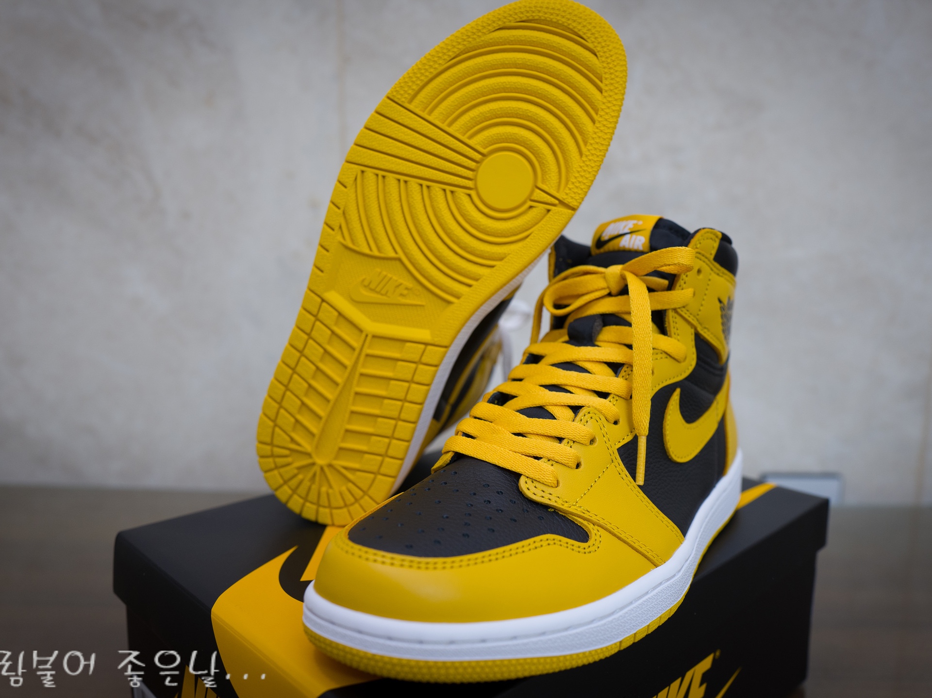 Jordan 1 Retro High OG Pollen 착용 스타일 - 2