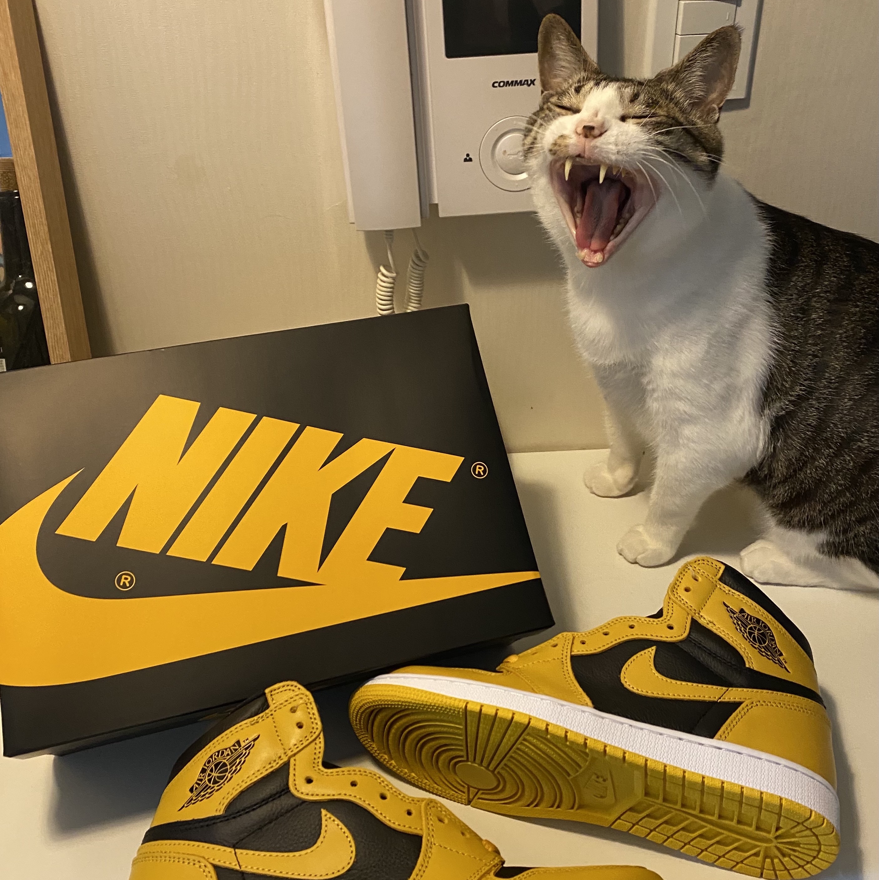 Jordan 1 Retro High OG Pollen 착용 스타일 - 1