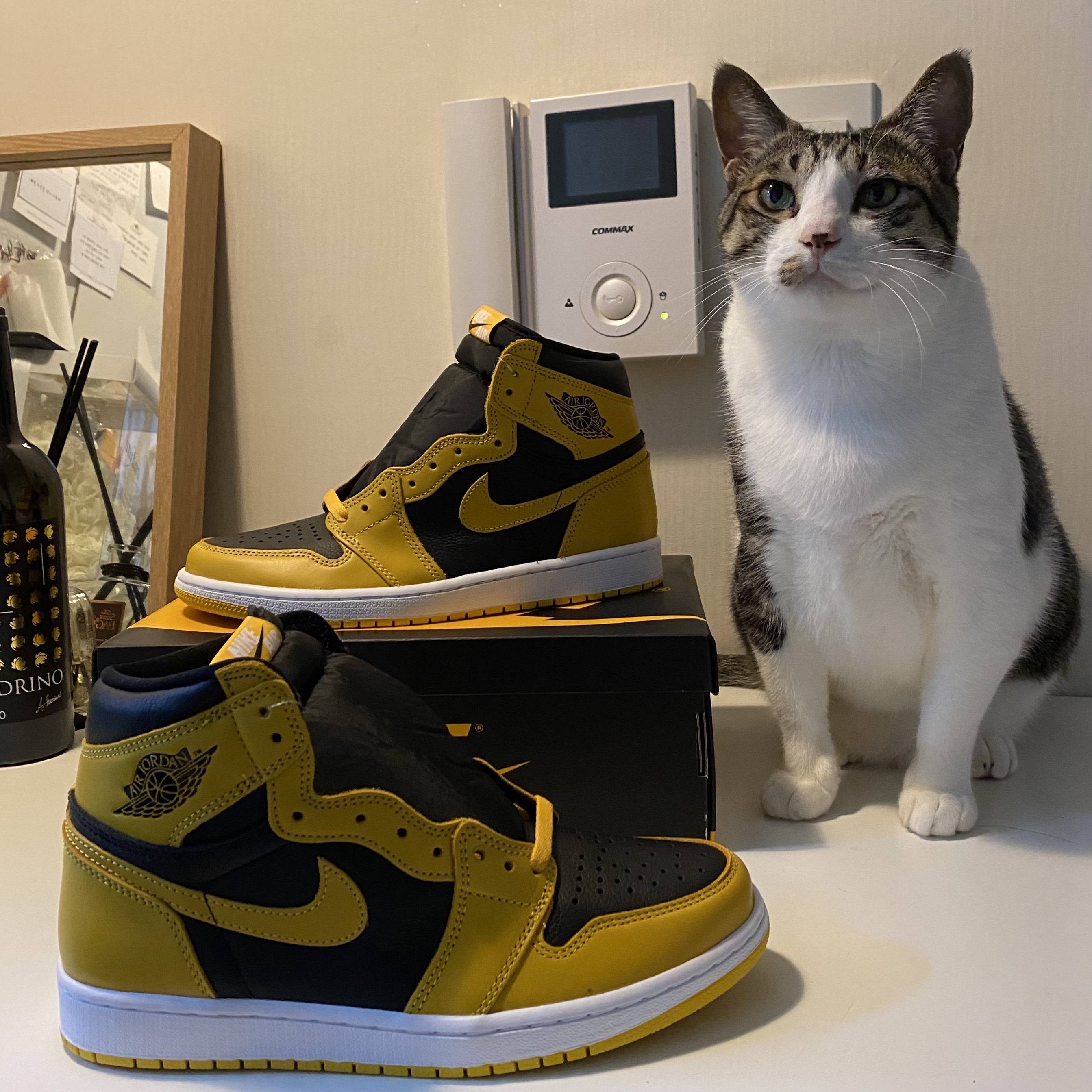 Jordan 1 Retro High OG Pollen 착용 스타일 - 2