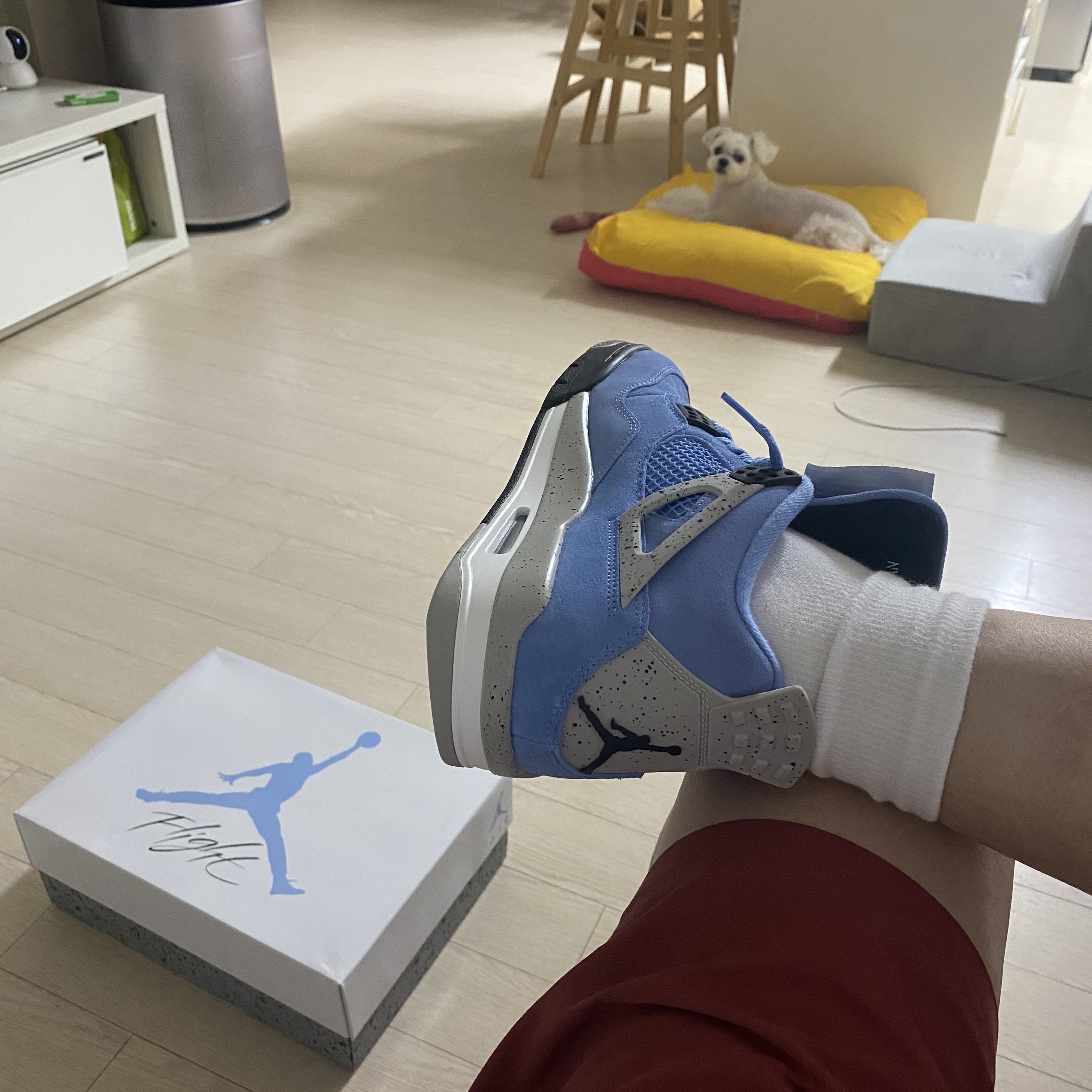 sdhhello님의 스타일