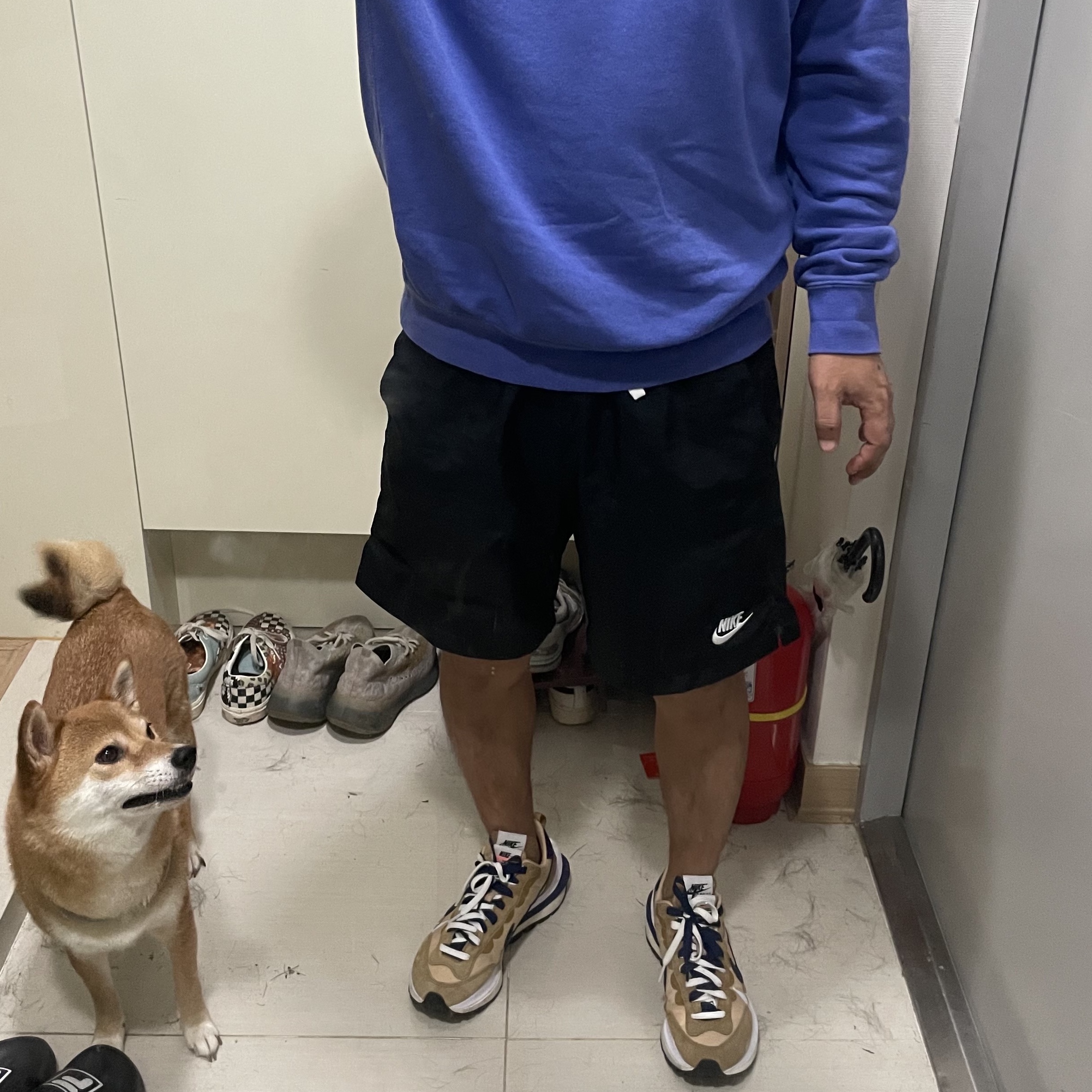 Nike x Sacai VaporWaffle Sesame and Blue Void, Jordan 11 Retro Win Like 82 UNC 착용 스타일 - 1