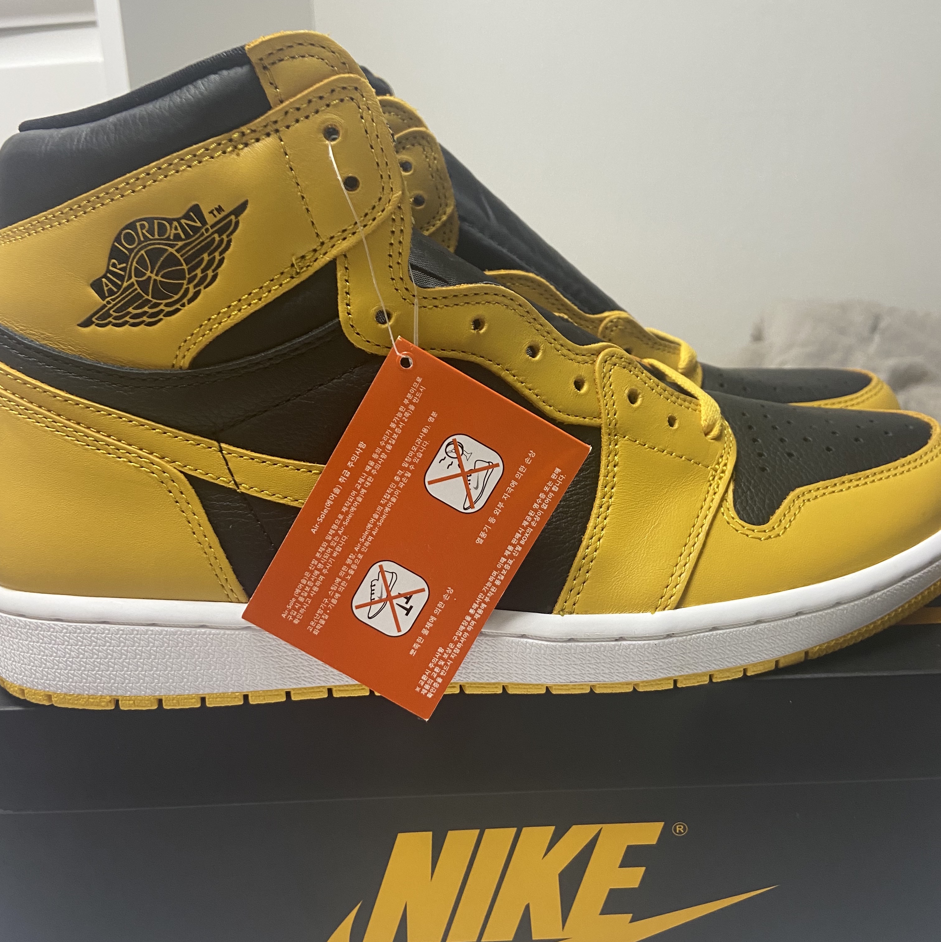 Jordan 1 Retro High OG Pollen 착용 스타일