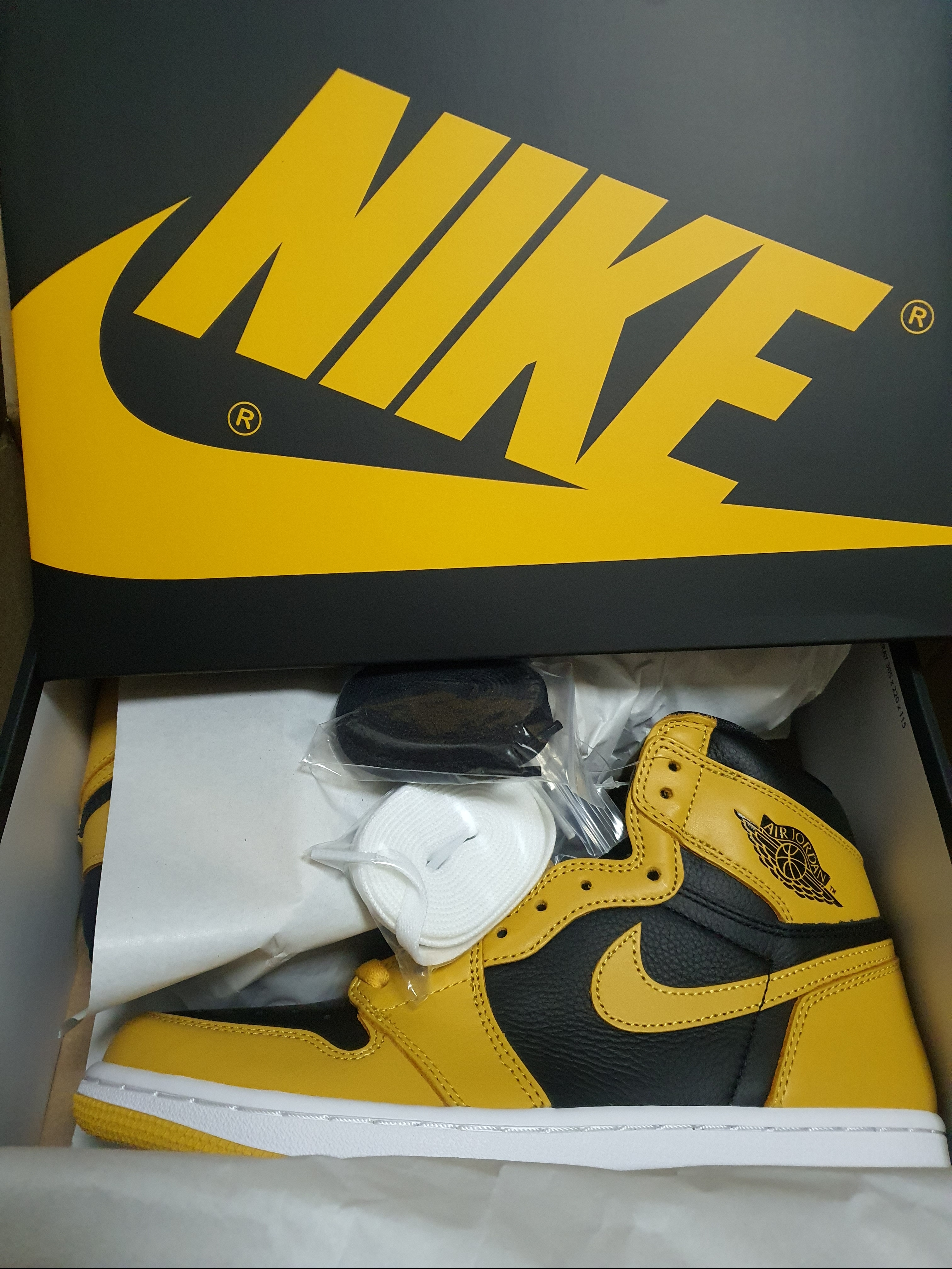 Jordan 1 Retro High OG Pollen 착용 스타일