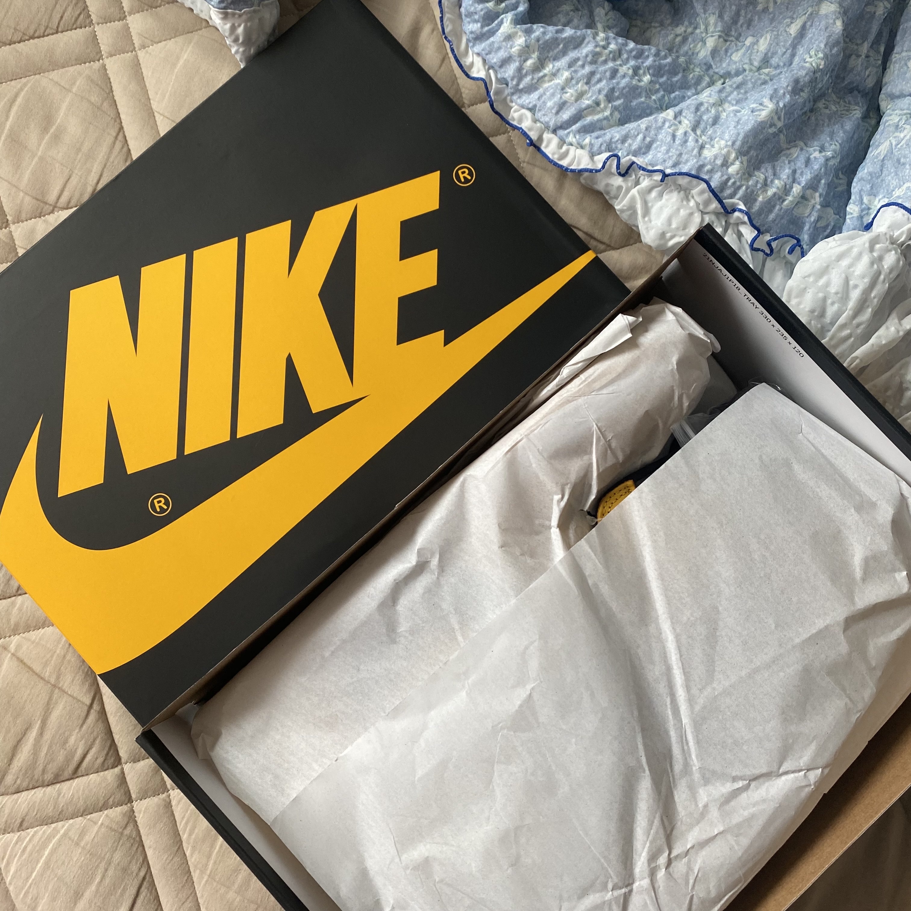 Jordan 1 Retro High OG Pollen 착용 스타일 - 2