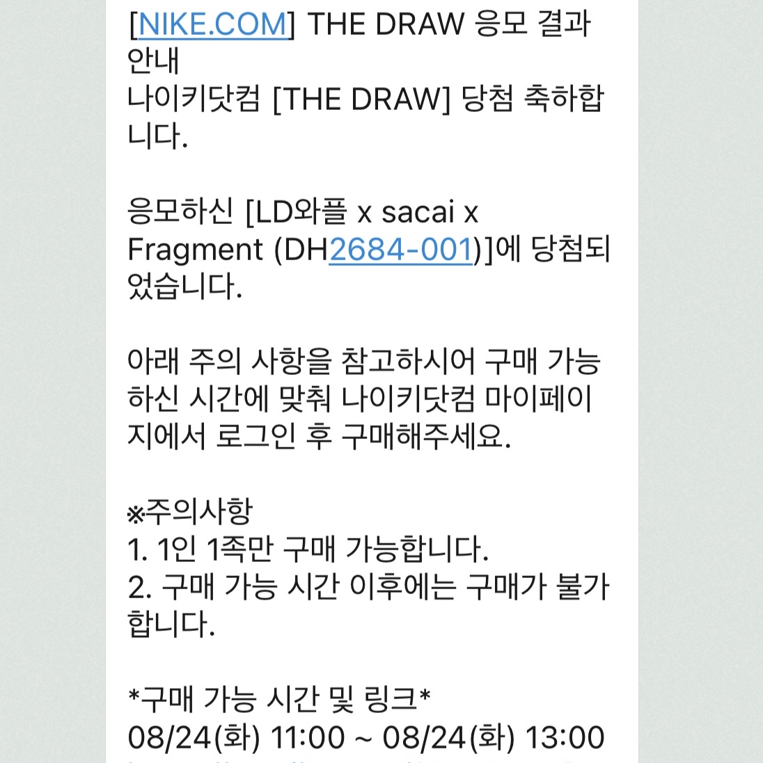 Nike x Sacai x Fragment LDWaffle Light Smoke Grey 착용 스타일 - 4