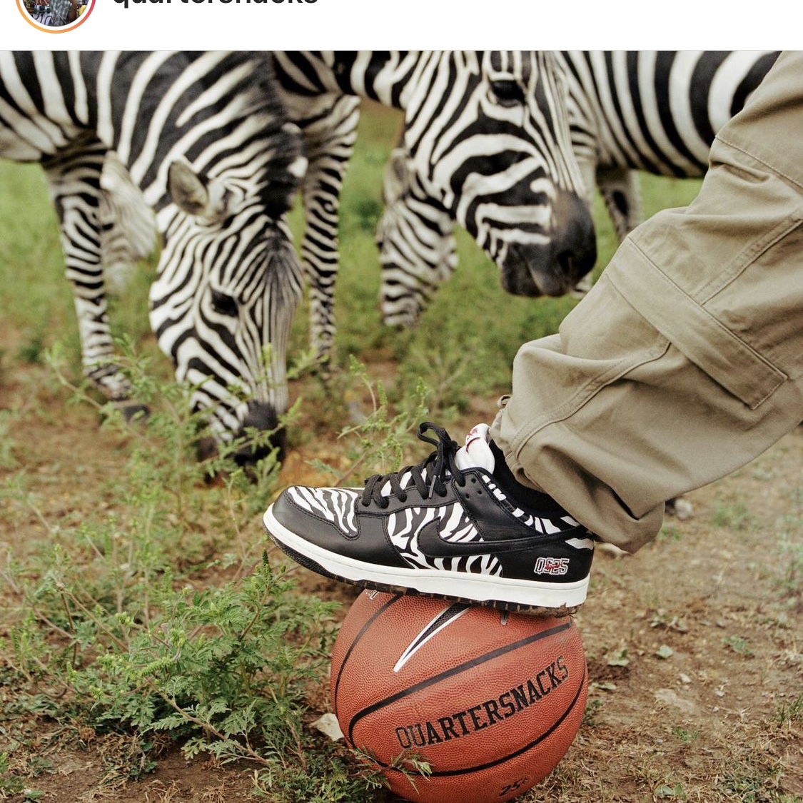 Nike x Quartersnacks SB Dunk Low Zebra Cake 착용 스타일 - 1