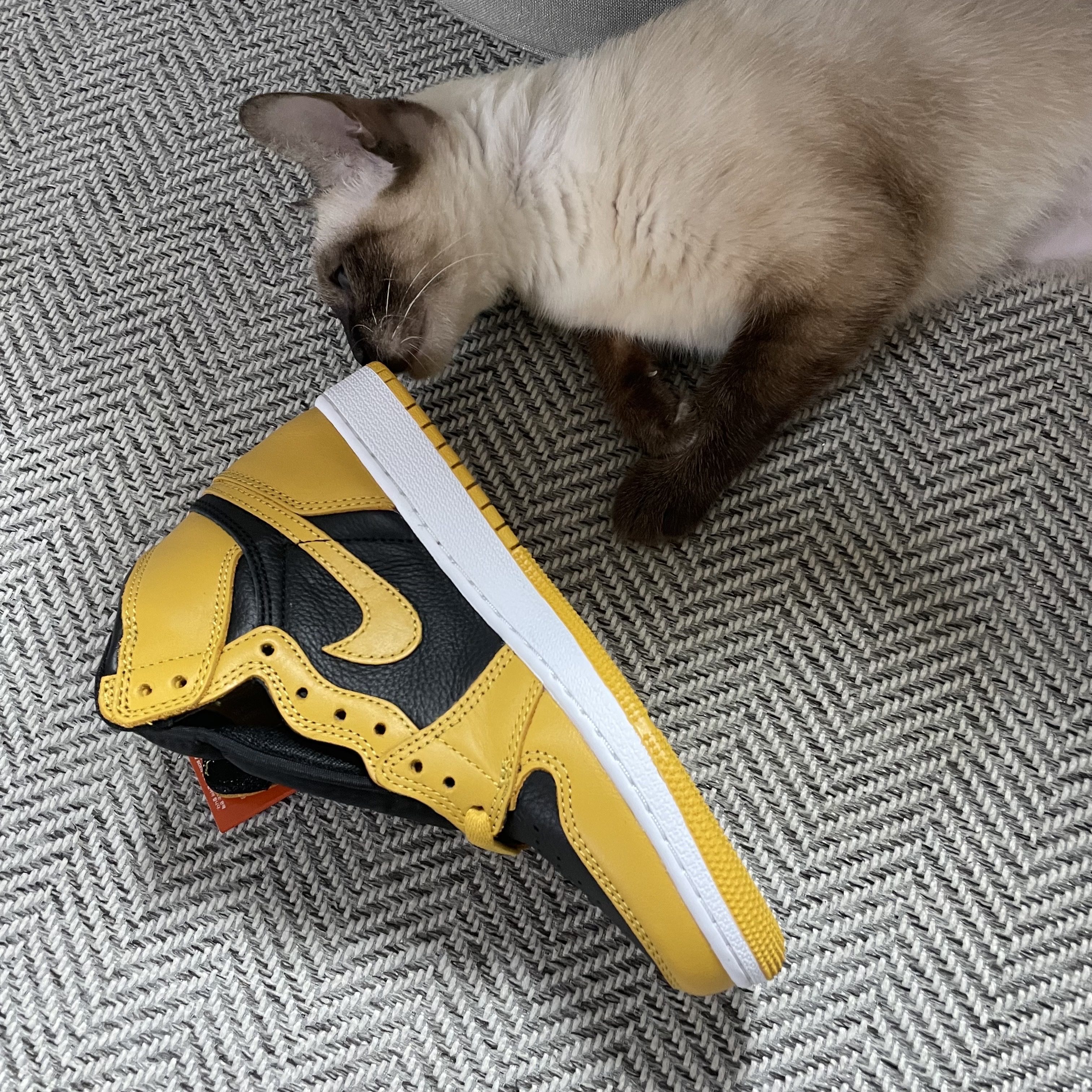 (GS) Jordan 1 Retro High OG Pollen 착용 스타일