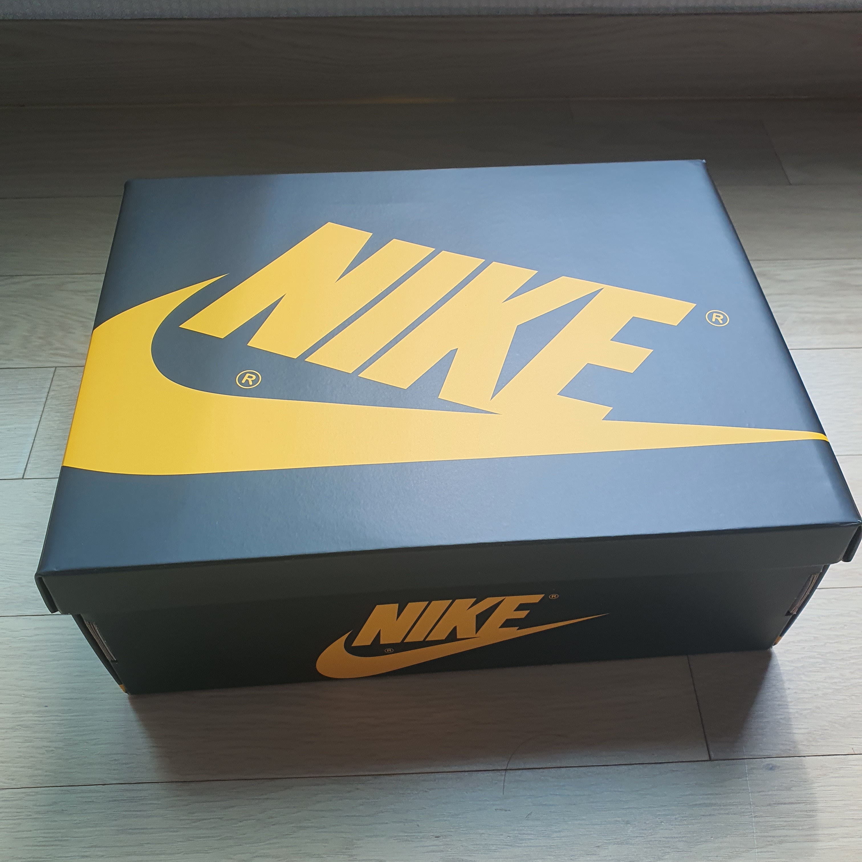 Jordan 1 Retro High OG Pollen 착용 스타일 - 5