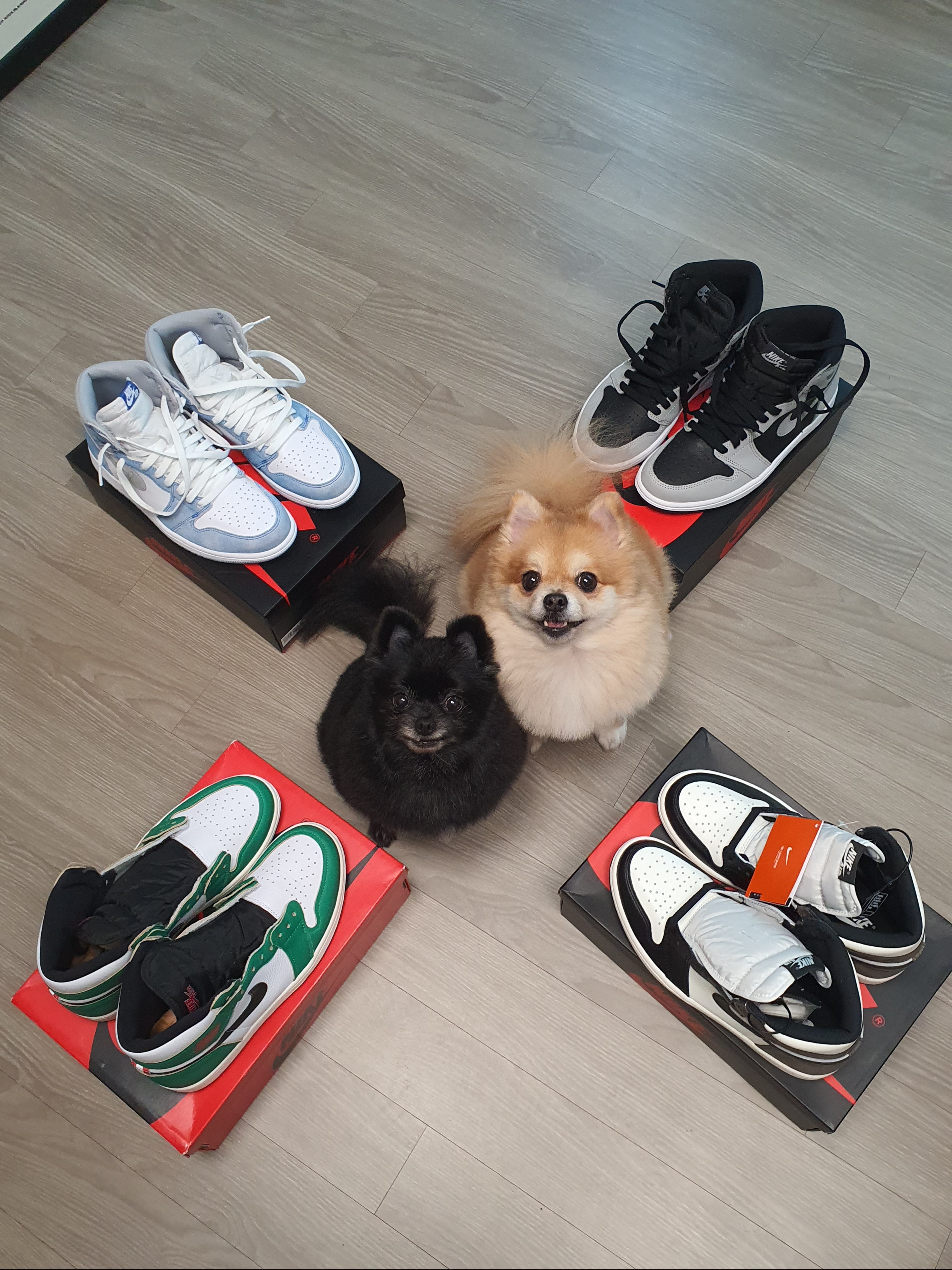 Jordan 1 Retro High OG Hyper Royal, Jordan 1 Retro High OG Shadow 2.0 착용 스타일