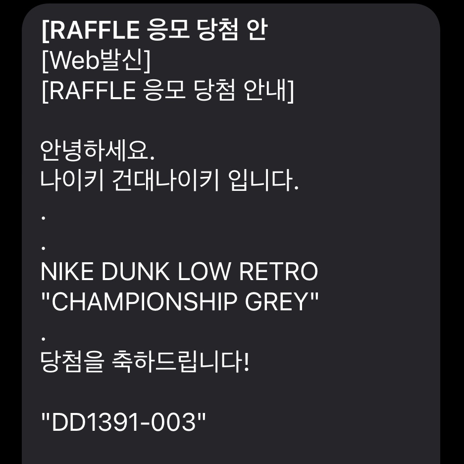 Nike Dunk Low Retro Championship Grey 착용 스타일