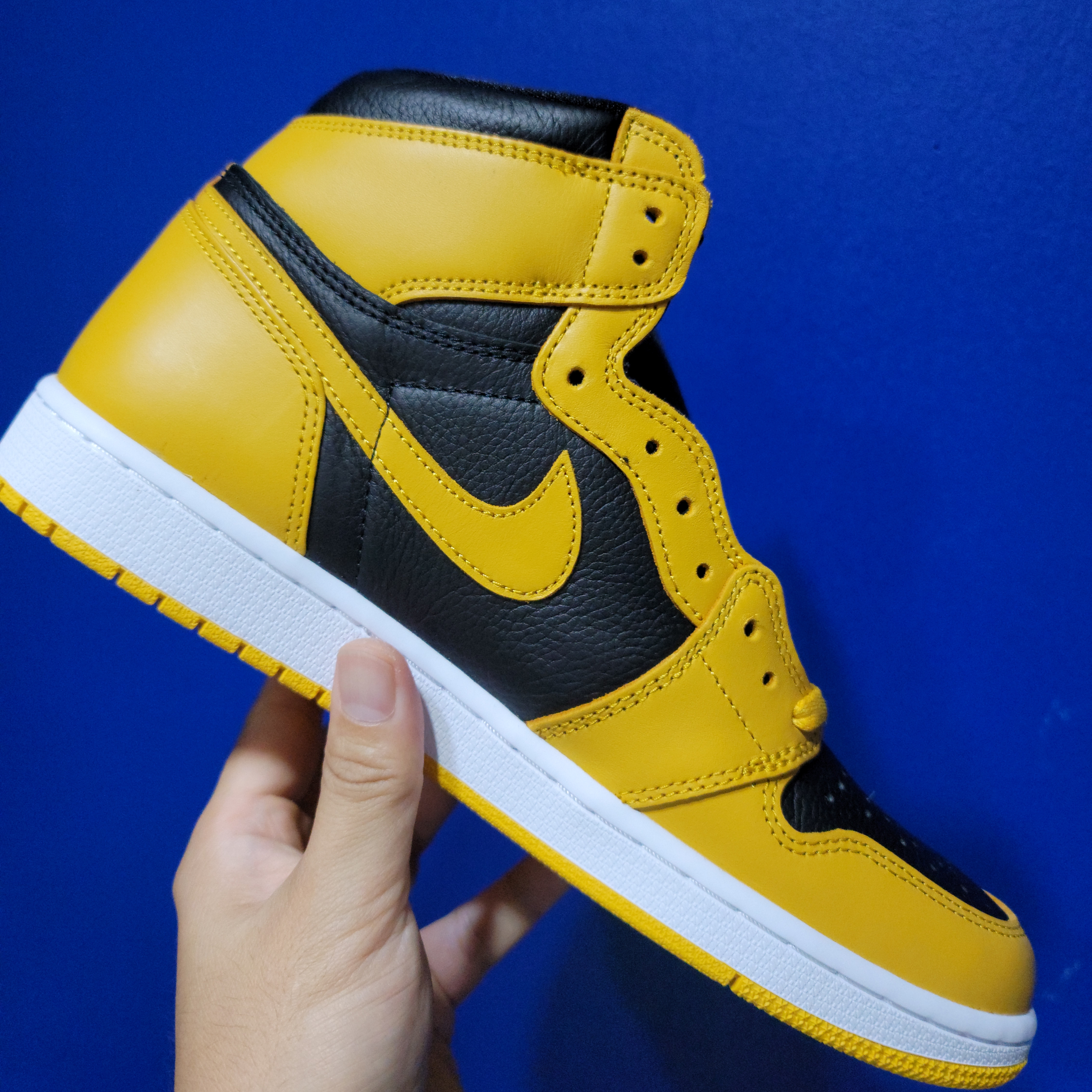 Jordan 1 Retro High OG Pollen 착용 스타일