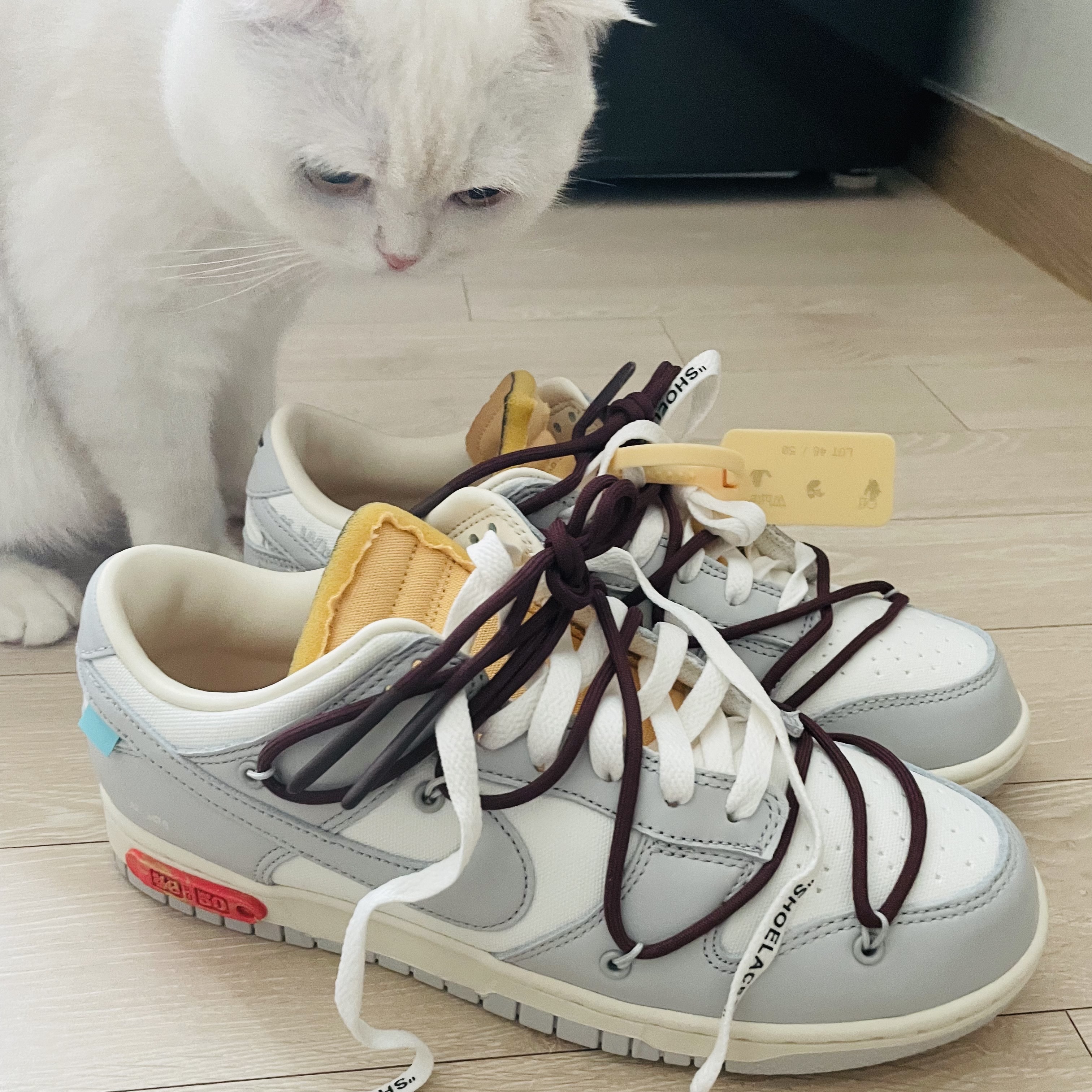 Nike x Off-White Dunk Low The 50 - Lot 46 착용 스타일