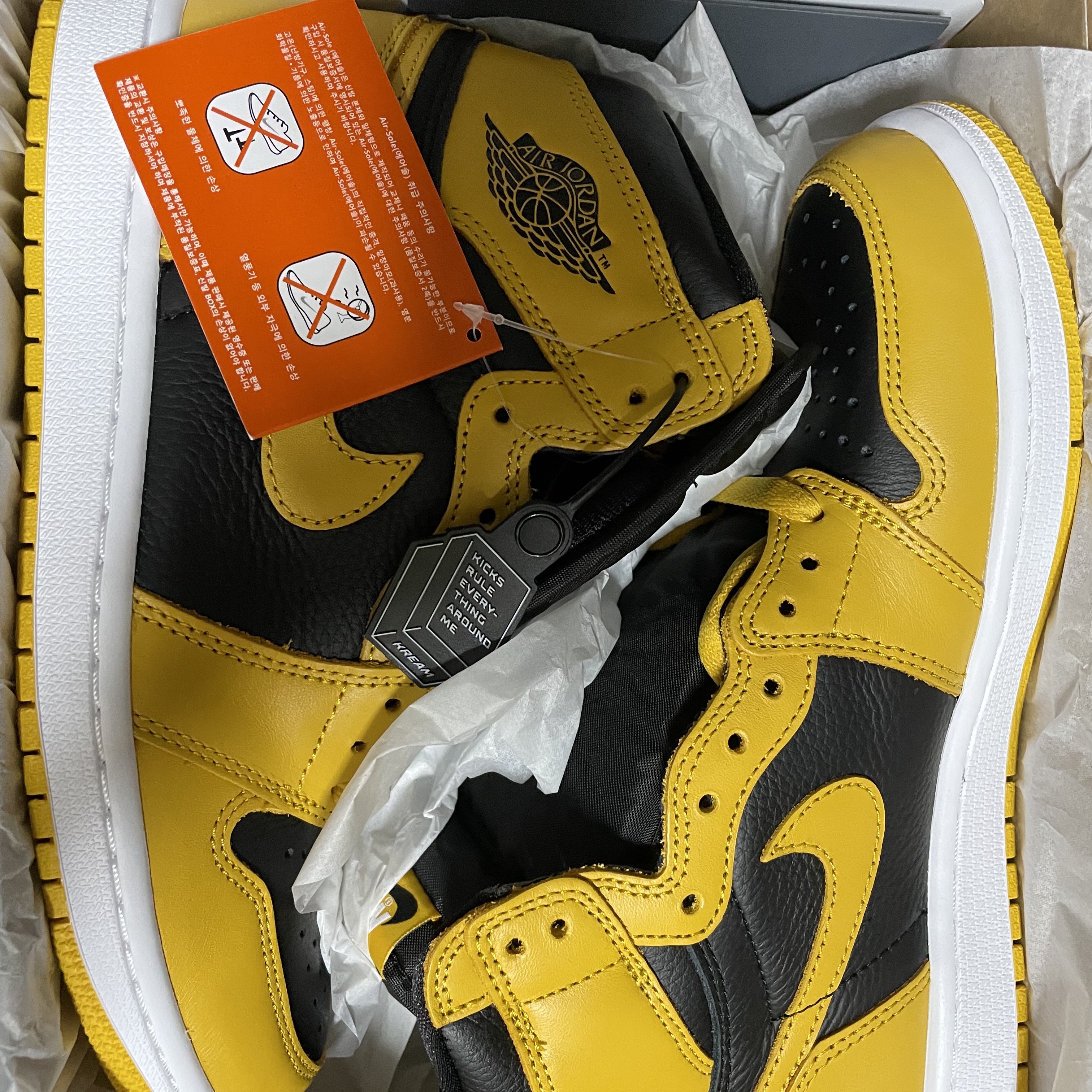 Jordan 1 Retro High OG Pollen 착용 스타일