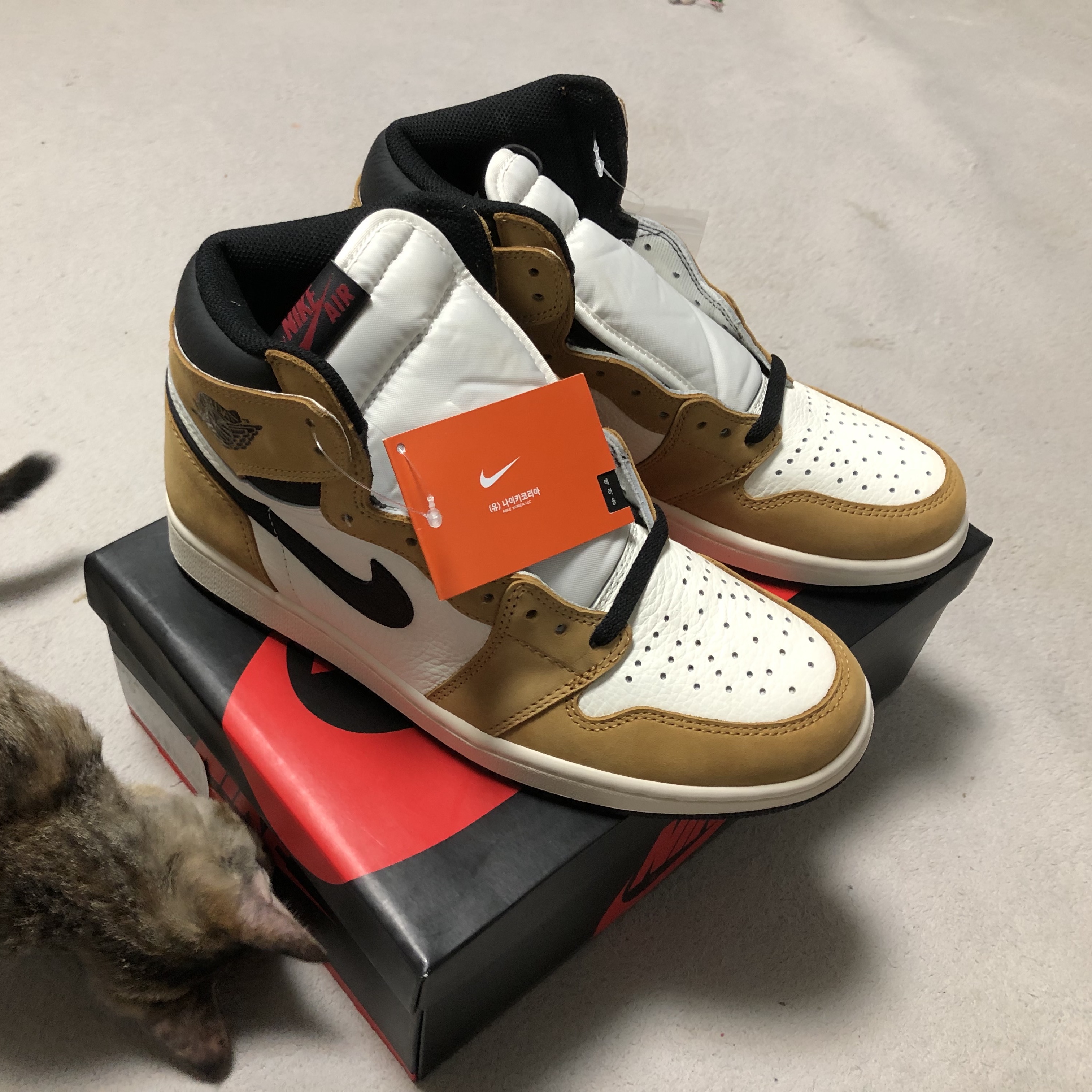 Jordan 1 Retro High Rookie of the Year, Jordan 1 x Travis Scott x Fragment Retro Low OG SP Military Blue 착용 스타일 - 1