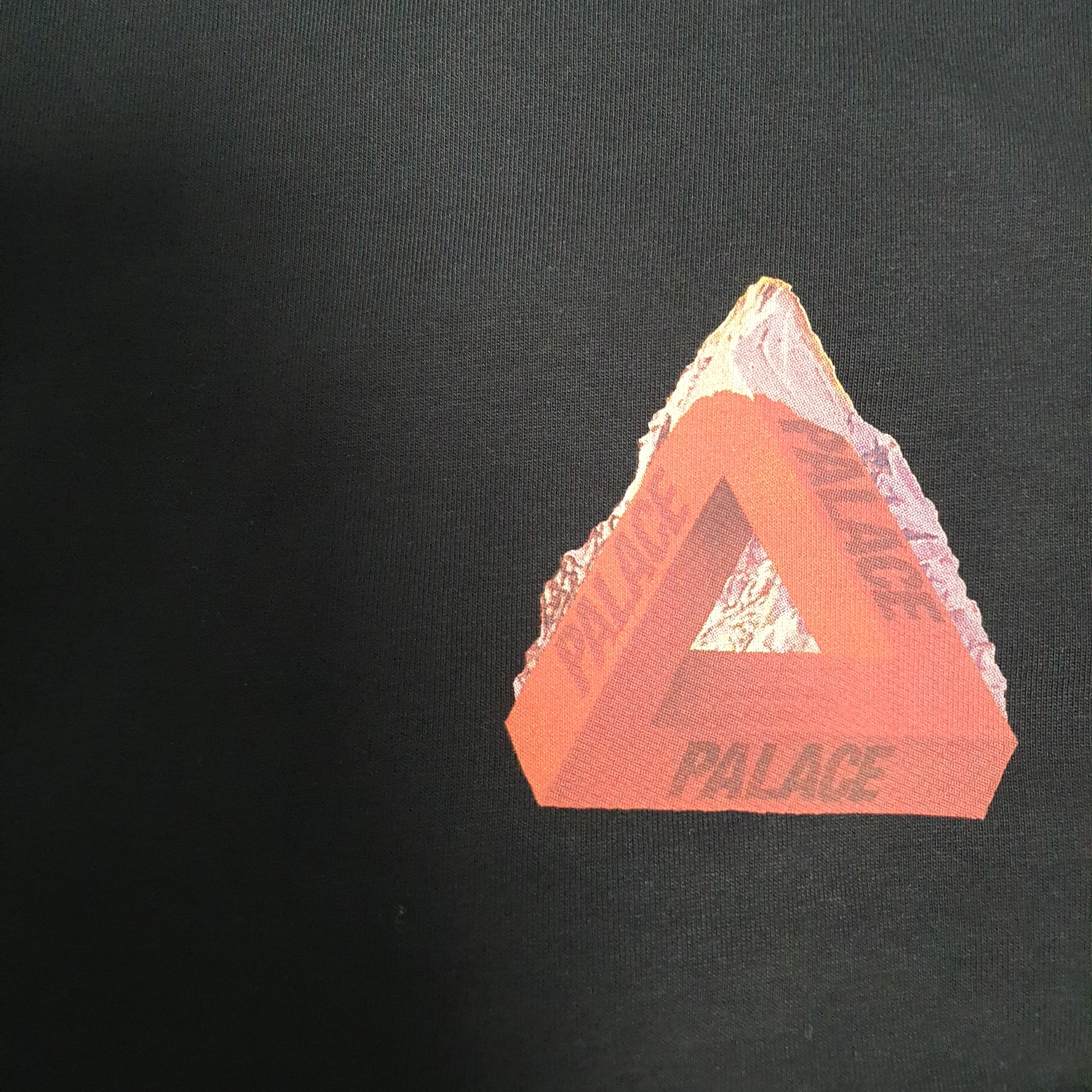 Palace Chapping Long Sleeve Black - 21FW 착용 스타일 - 2