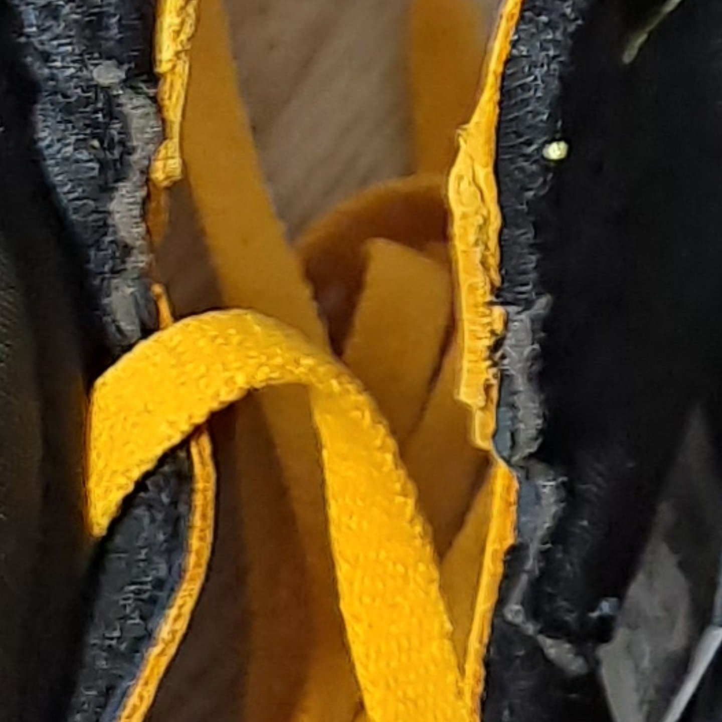 Jordan 1 Retro High OG Pollen 착용 스타일 - 1