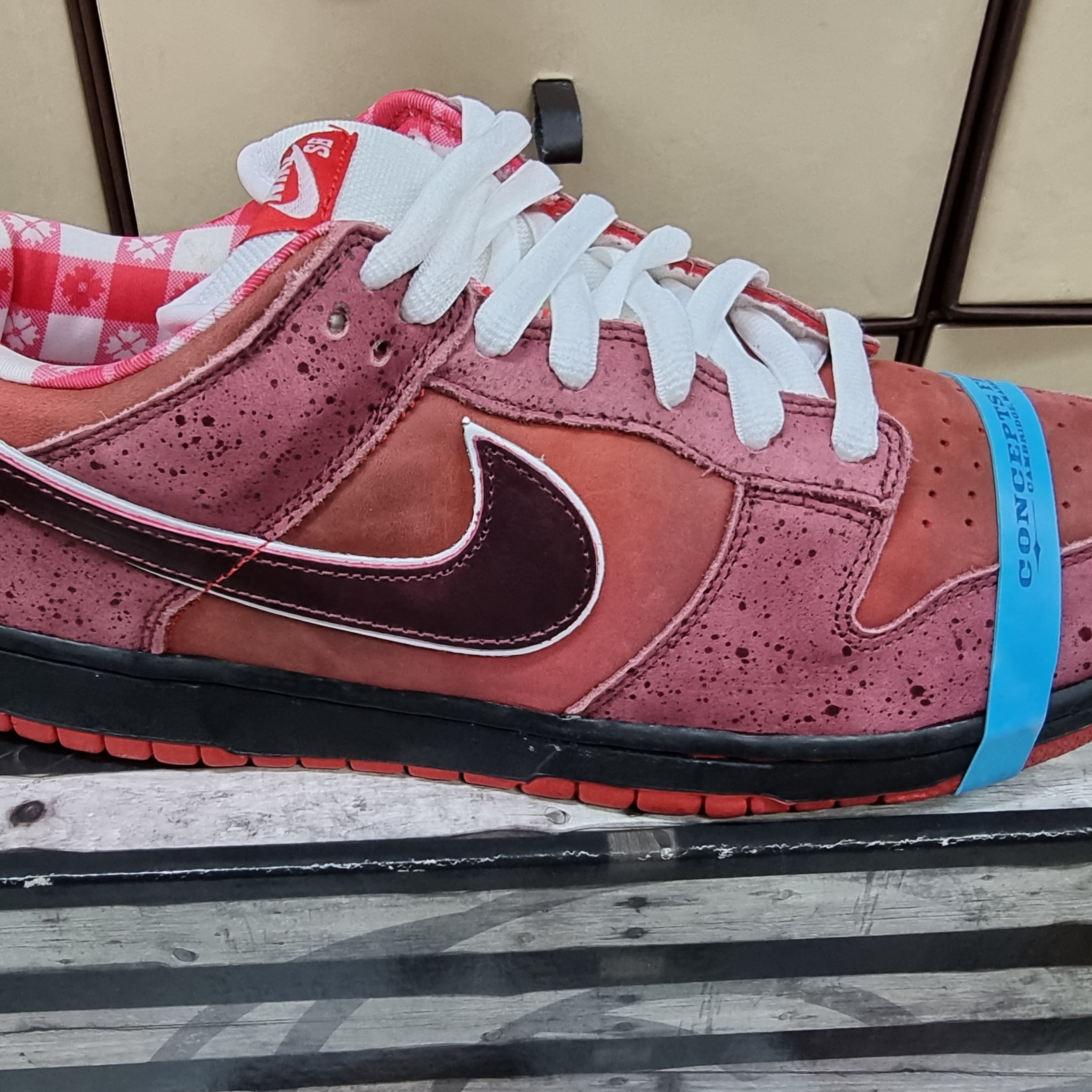 Nike x Concepts Dunk Low Premium SB Red Lobster (Special Box) 착용 스타일