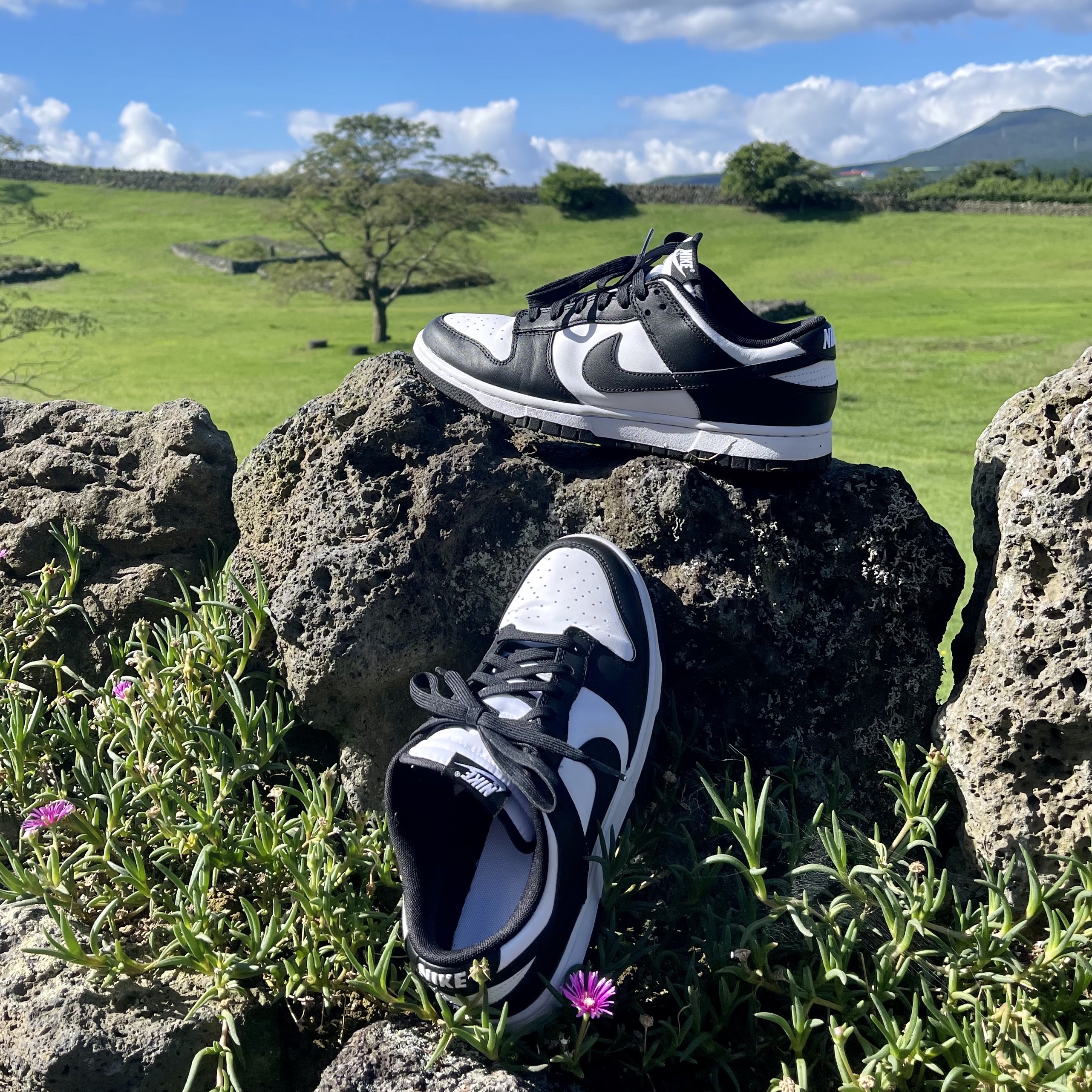 Nike Dunk Low Retro Black 착용 스타일