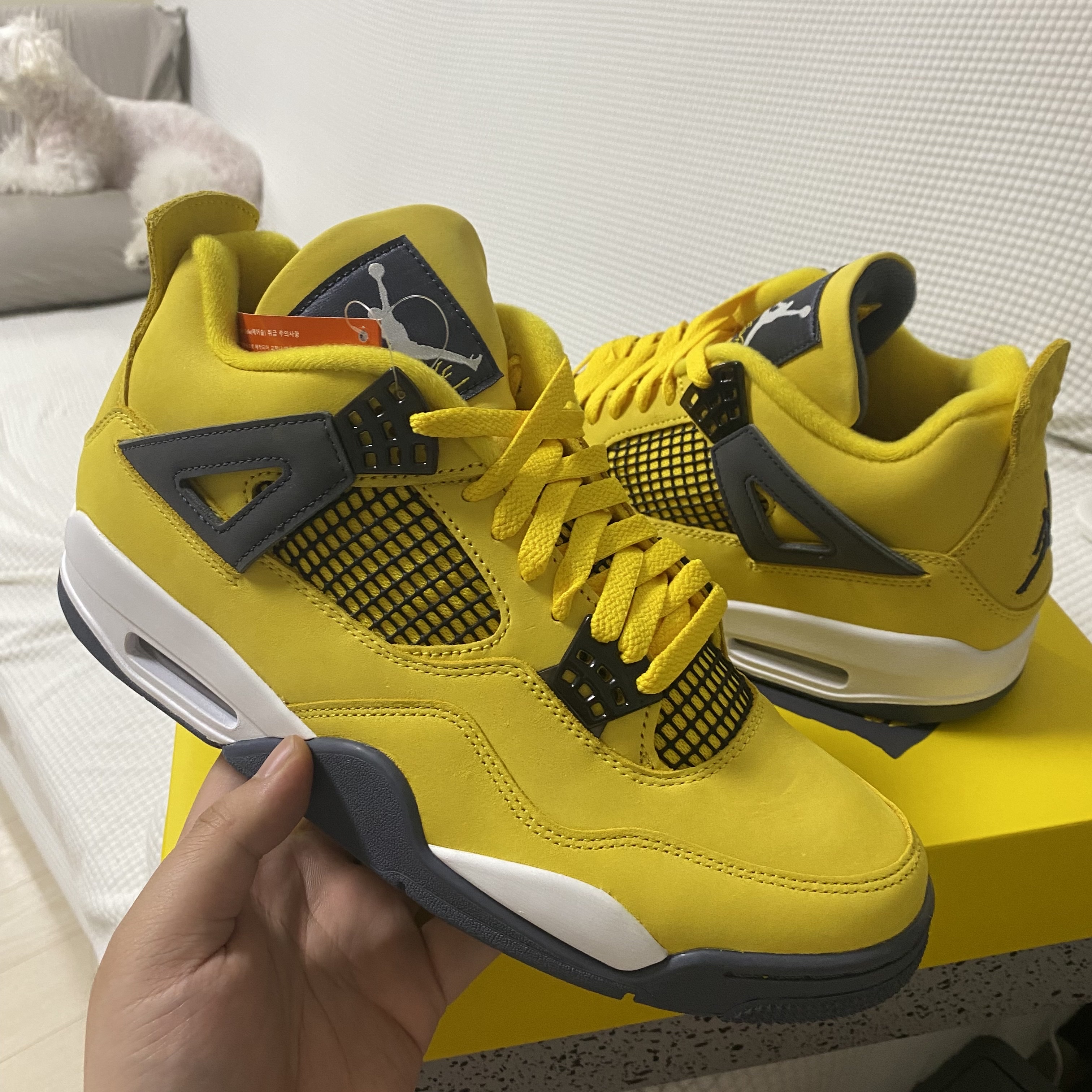 Jordan 4 Retro Tour Yellow 착용 스타일