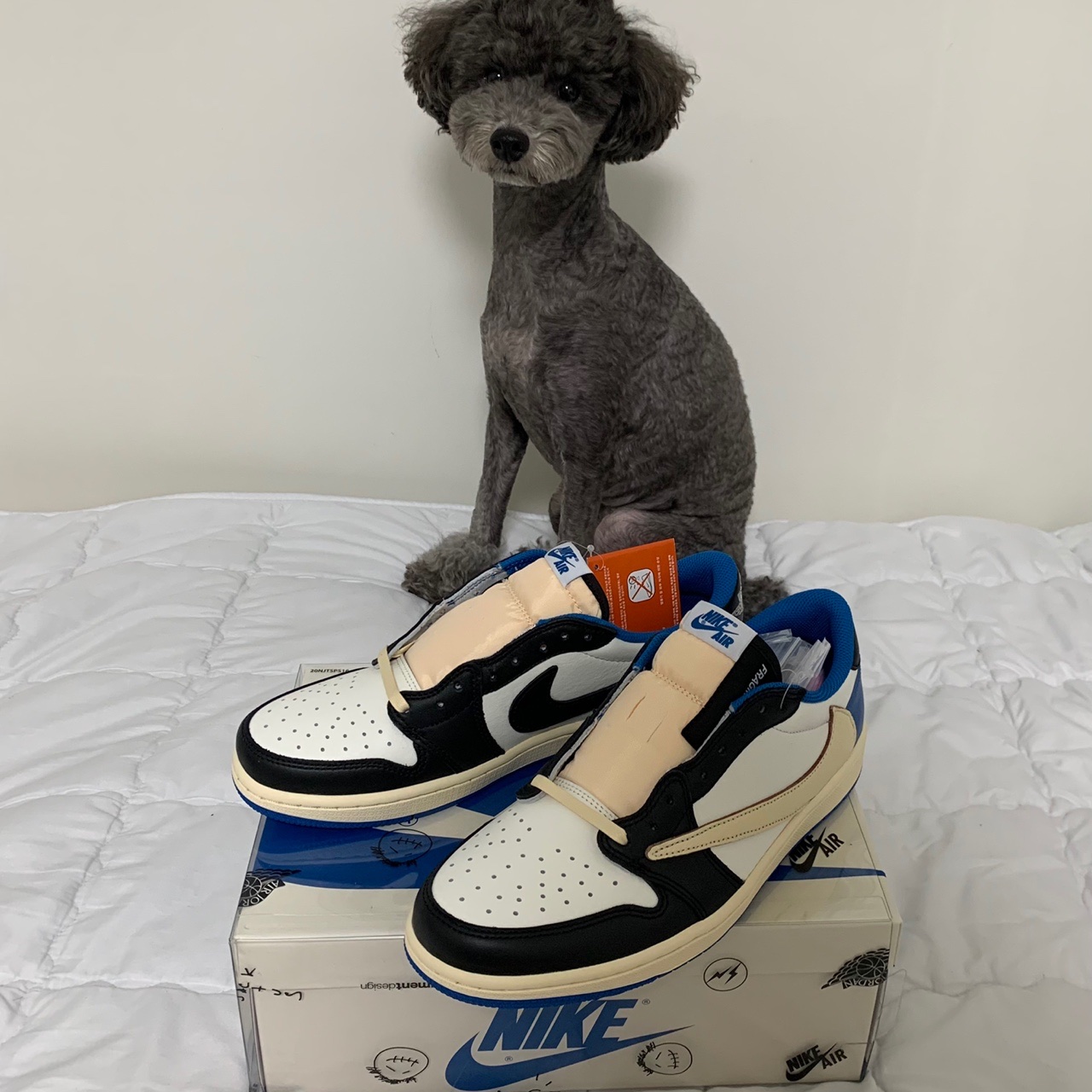 Jordan 1 x Travis Scott x Fragment Retro Low OG SP Military Blue 착용 스타일
