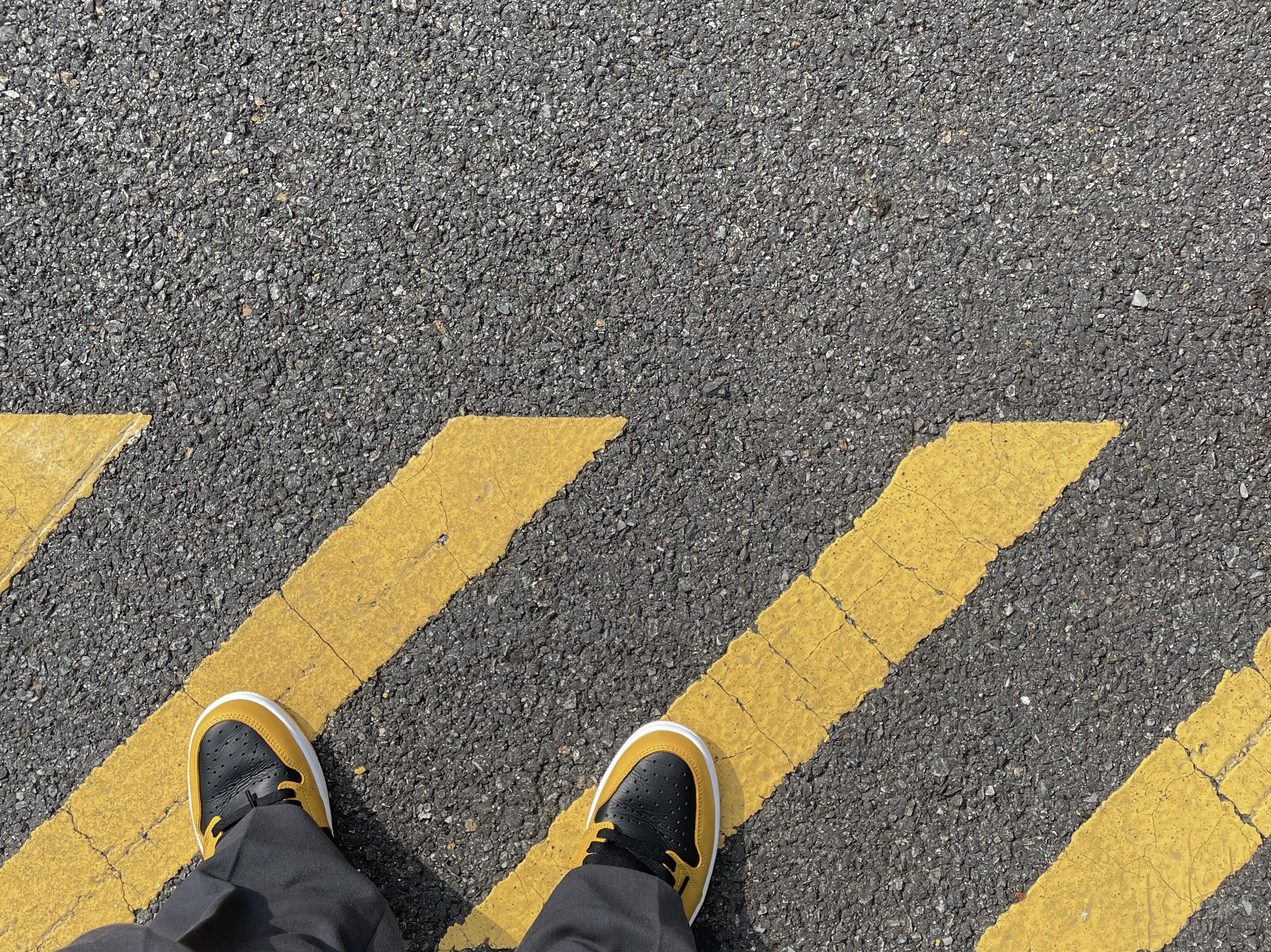 Jordan 1 Retro High OG Pollen 착용 스타일