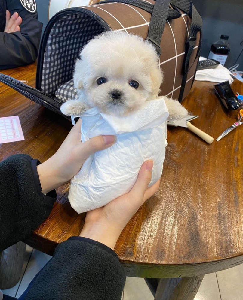 KREAM 프로필 이미지