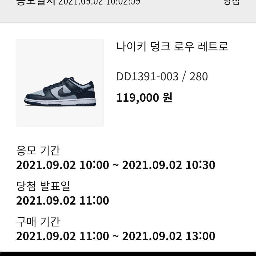 Nike Dunk Low Retro Championship Grey 착용 스타일