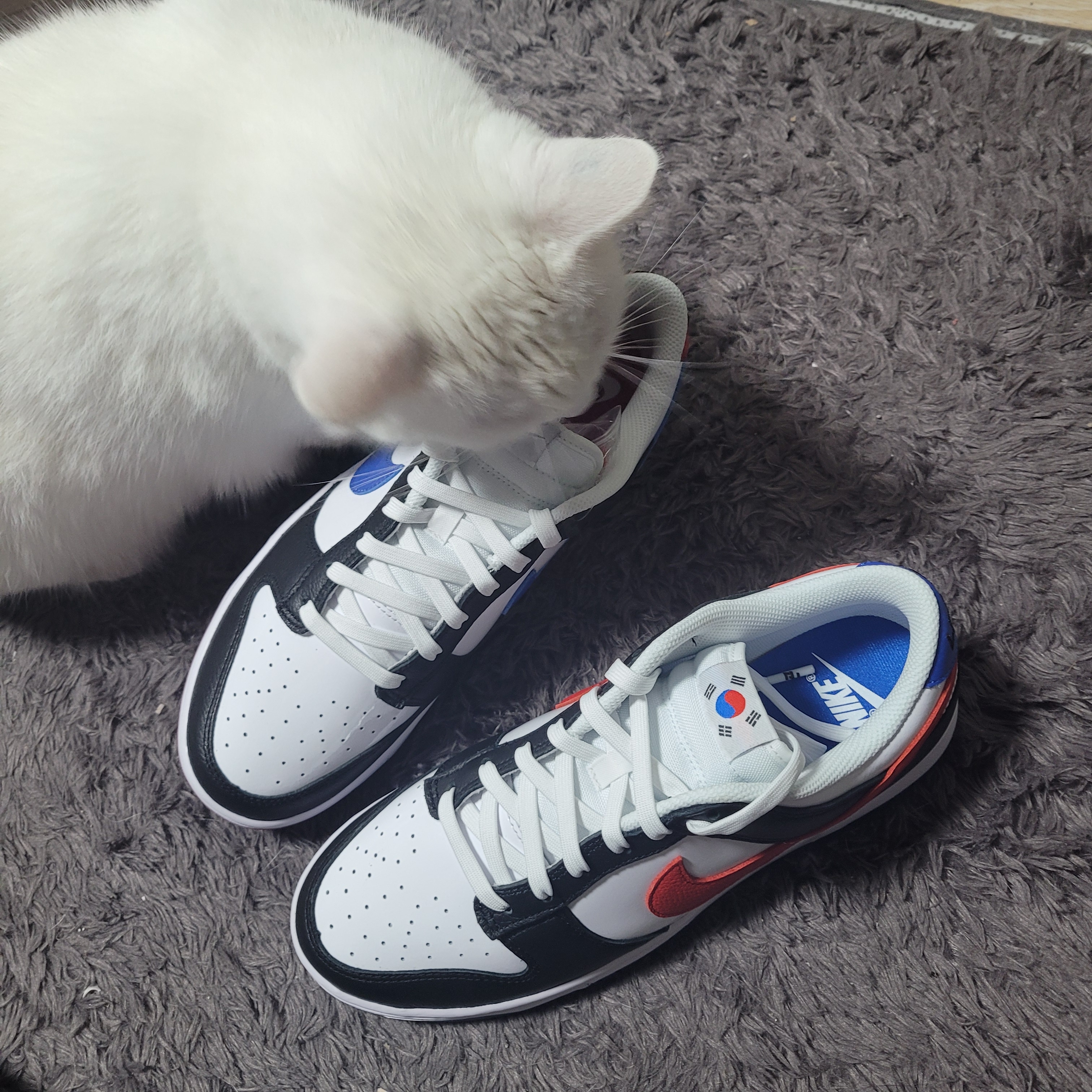Nike Dunk Low SE Seoul 착용 스타일 - 2