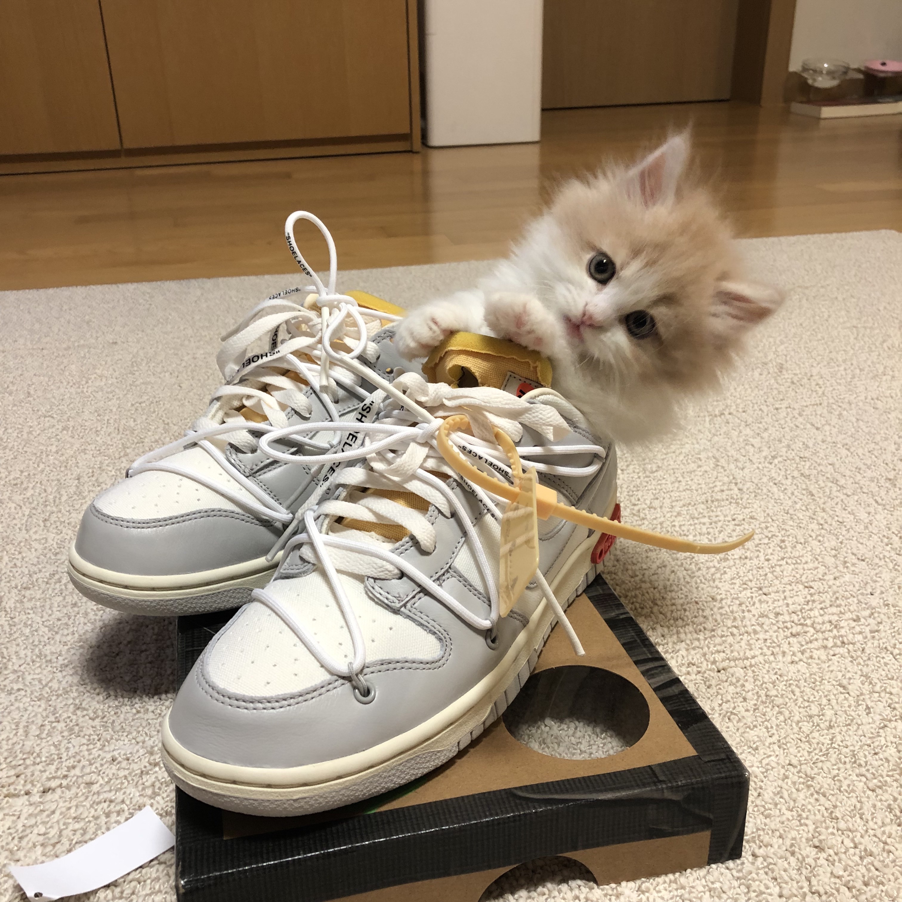 Nike x Off-White Dunk Low The 50 - Lot 46 착용 스타일
